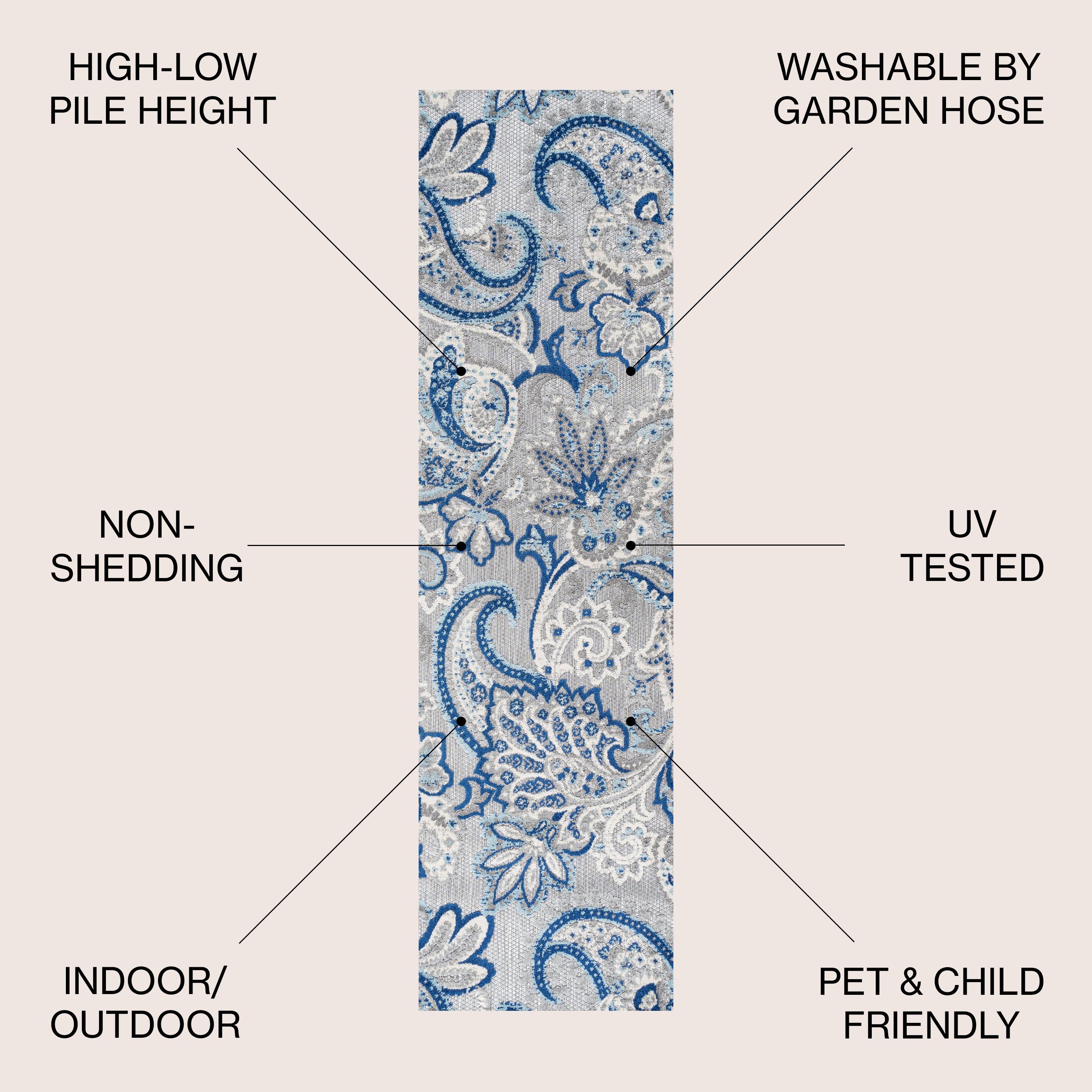 Gordes Paisley High-Low Indoor/Outdoor Area Rug