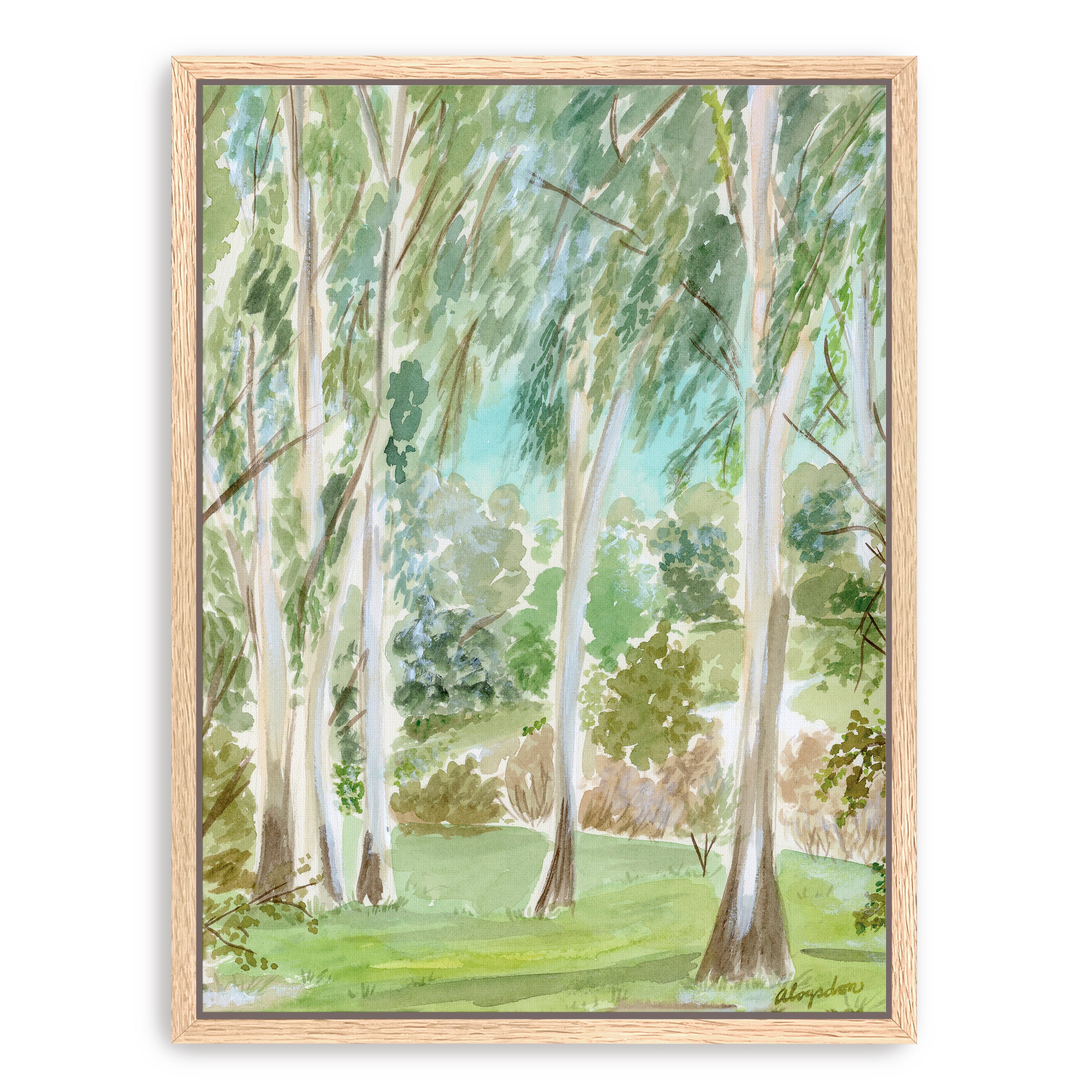 Watercolor Ojai Eucalyptus Canvas Giclee