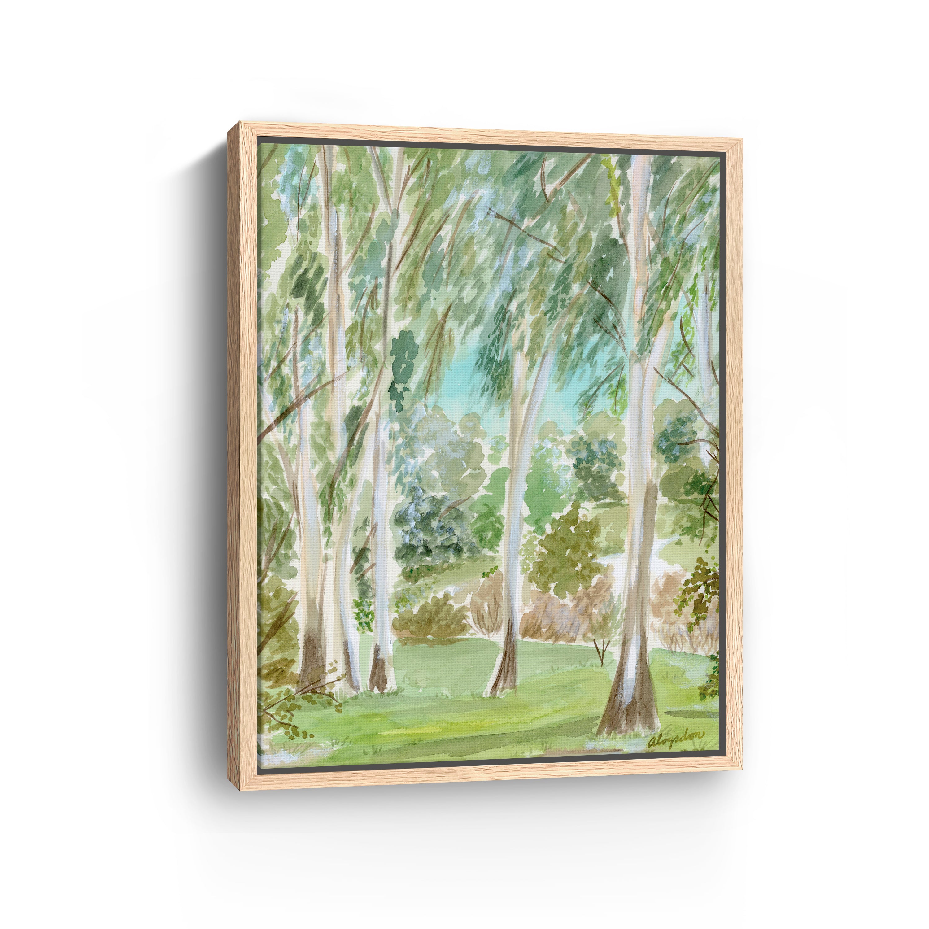 Watercolor Ojai Eucalyptus Canvas Giclee