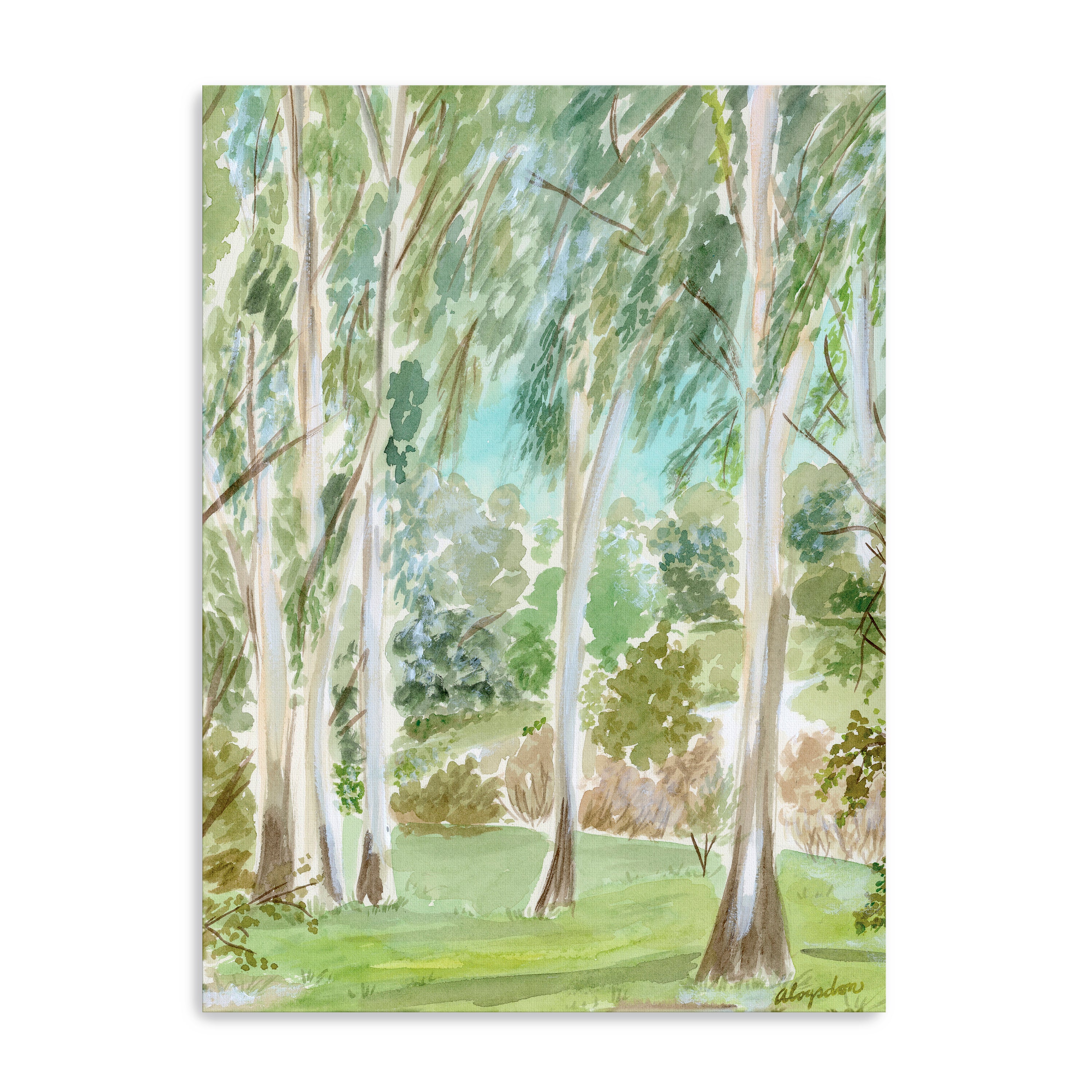 Watercolor Ojai Eucalyptus Canvas Giclee
