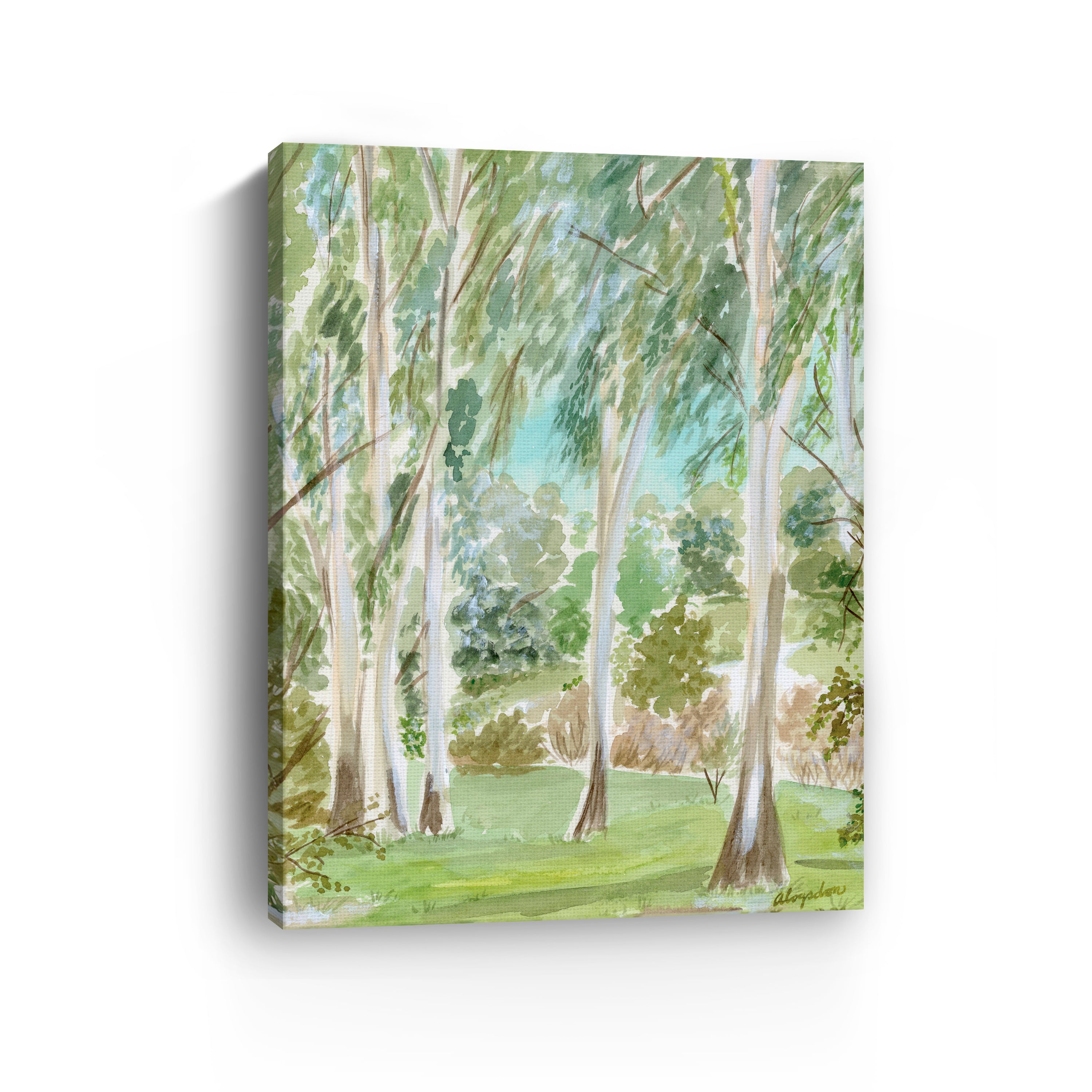 Watercolor Ojai Eucalyptus Canvas Giclee