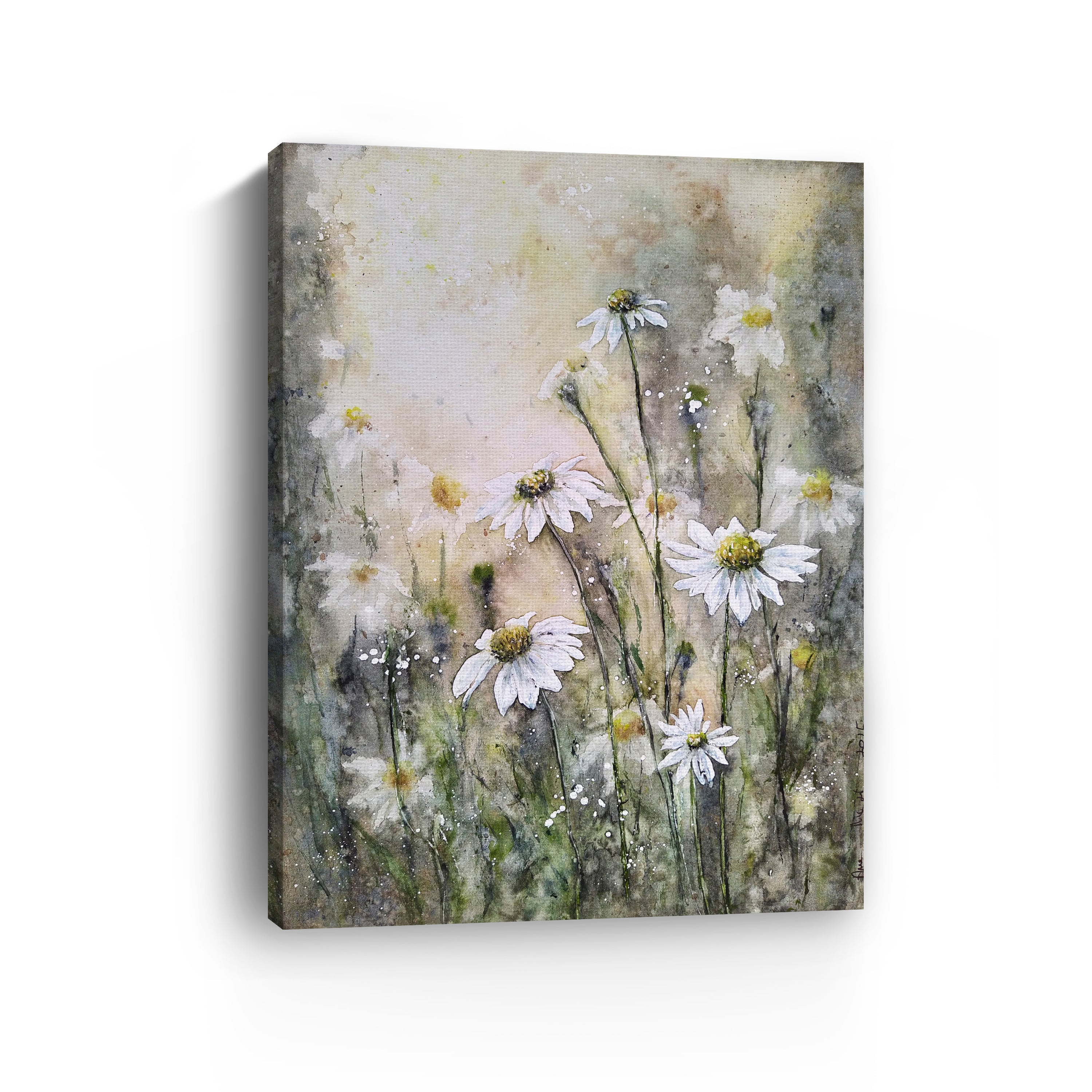 Coneflowers White I Canvas Giclee