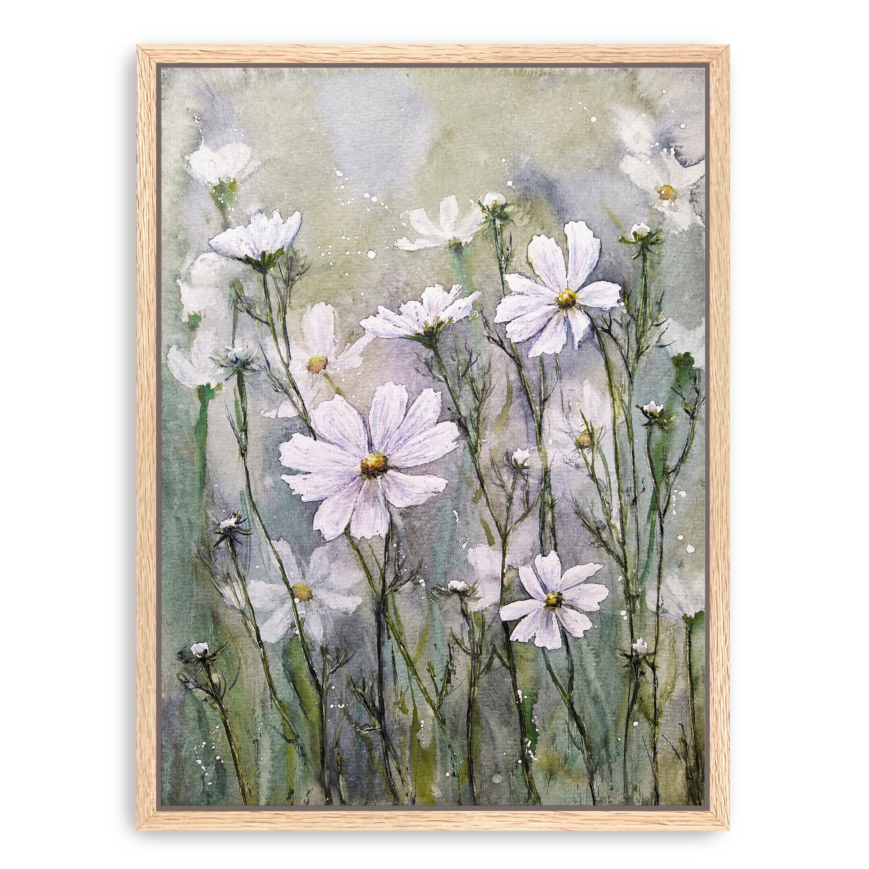 Cosmos Flowers IX Canvas Giclee