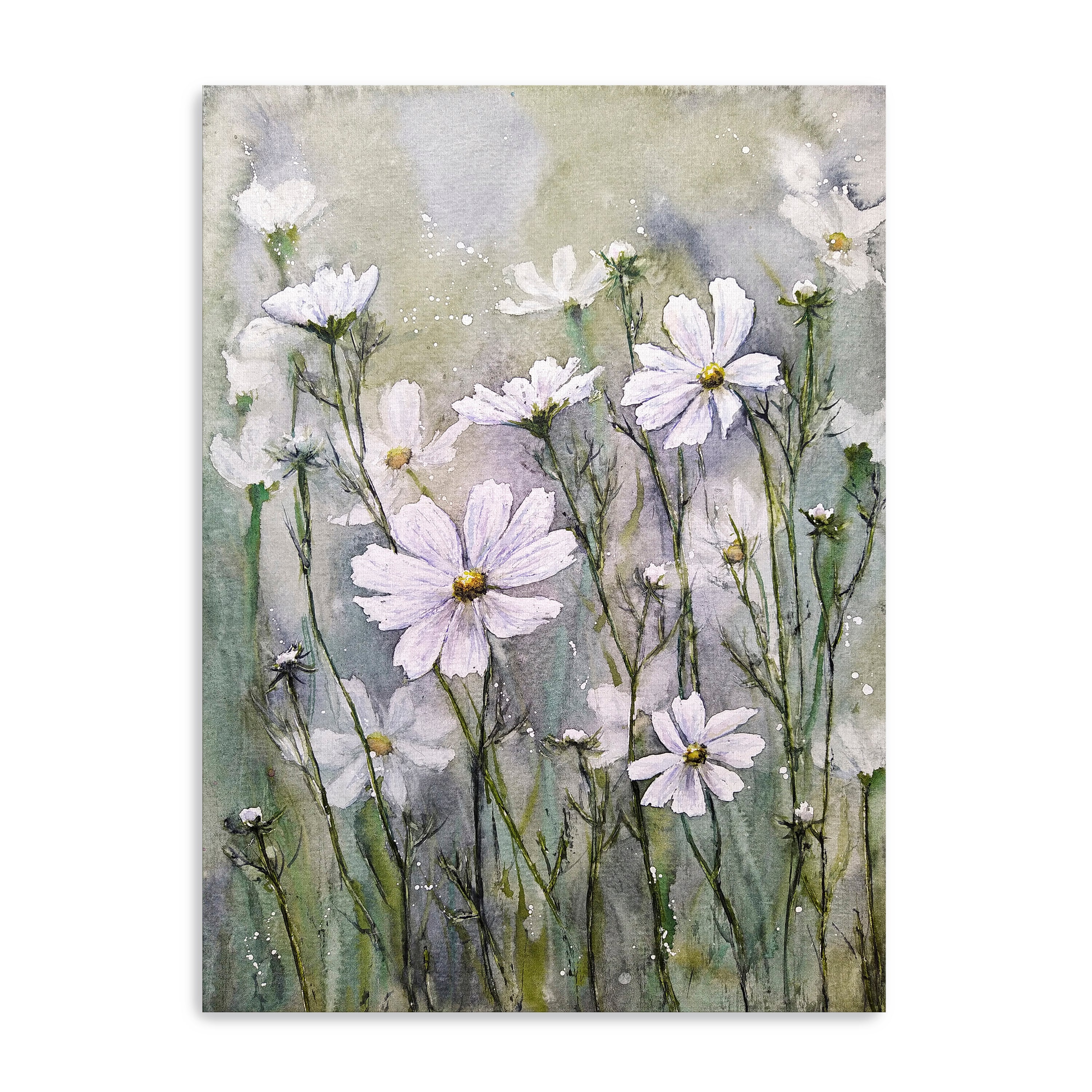 Cosmos Flowers IX Canvas Giclee