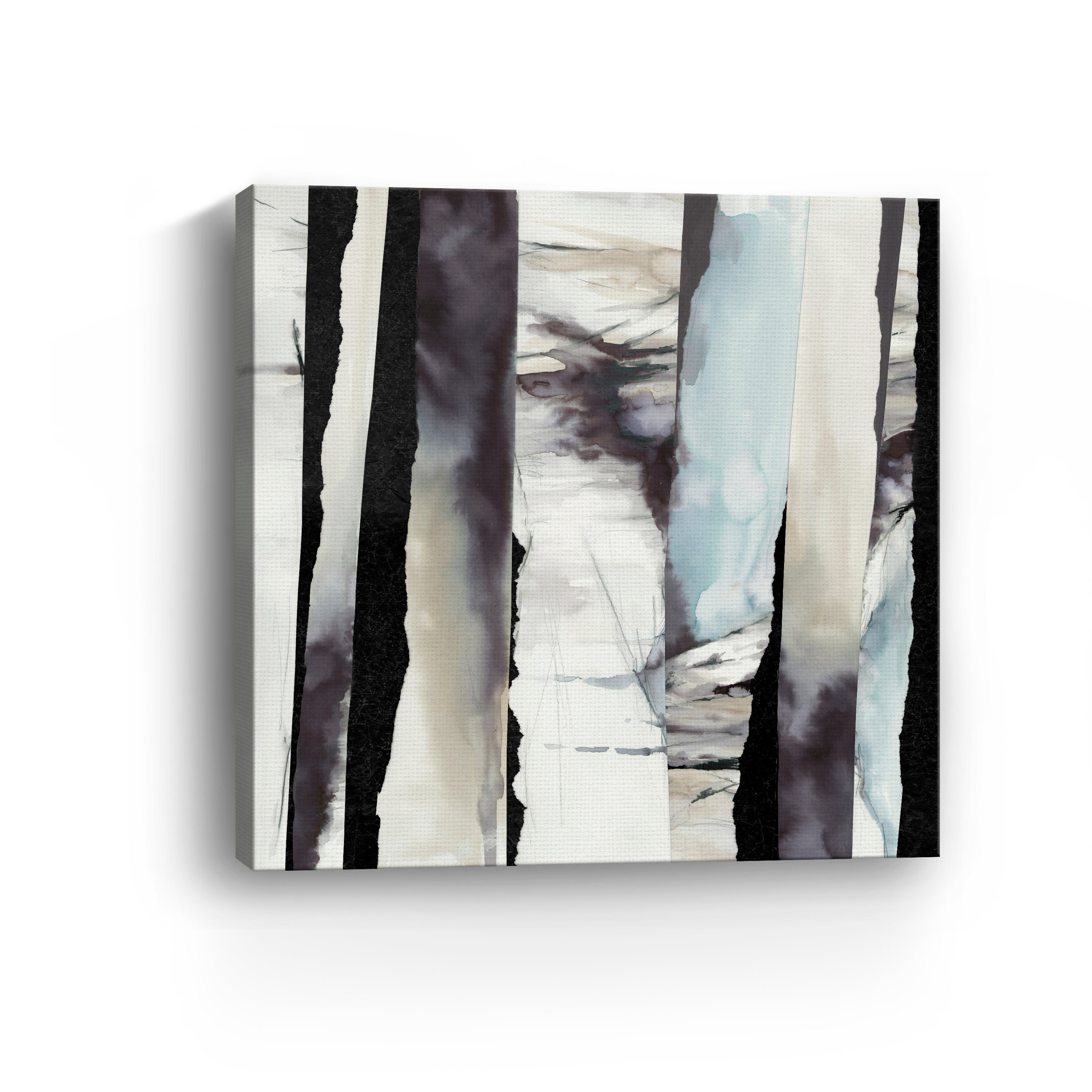 Rippling Shadows in Winter Light Canvas Giclee