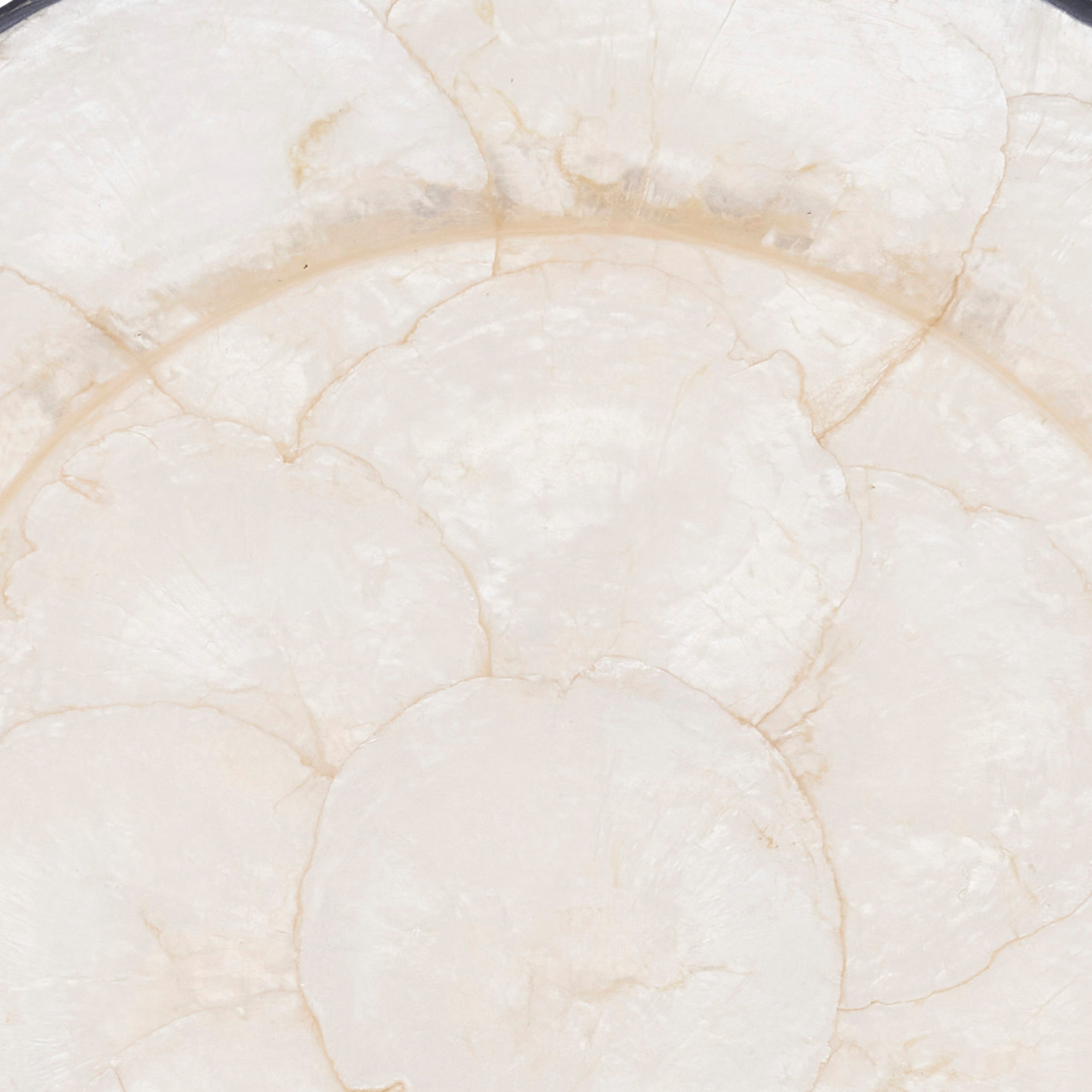 Polished Capiz Charger Plates, Set of 4