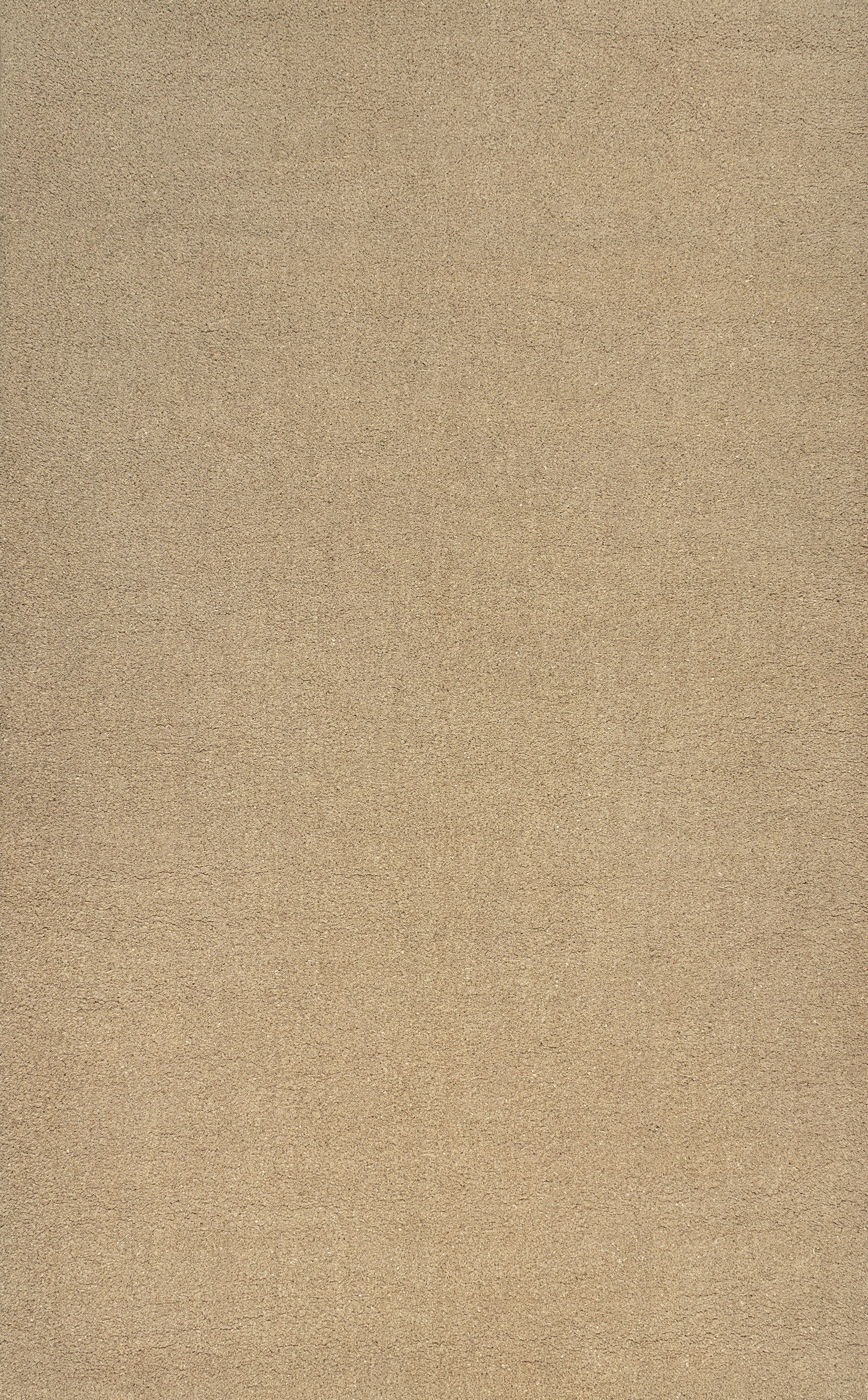 Peater Classic Casual Commercial Natural Coir Indoor/Outdoor Rug