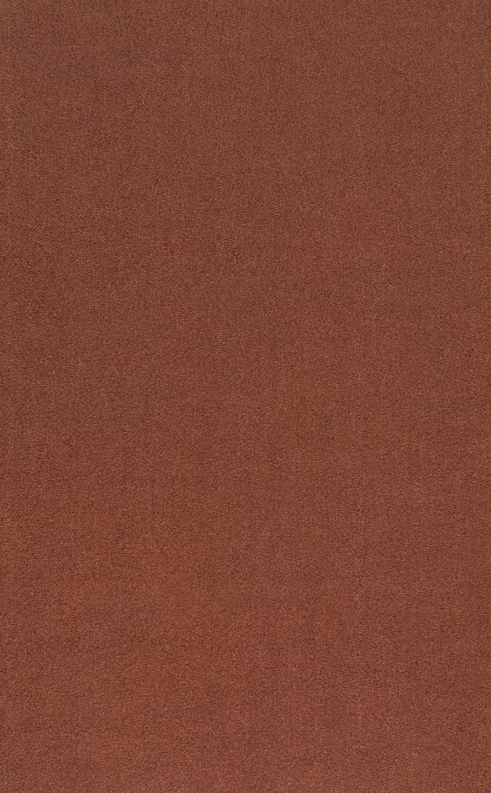 Peater Classic Casual Commercial Natural Coir Indoor/Outdoor Rug