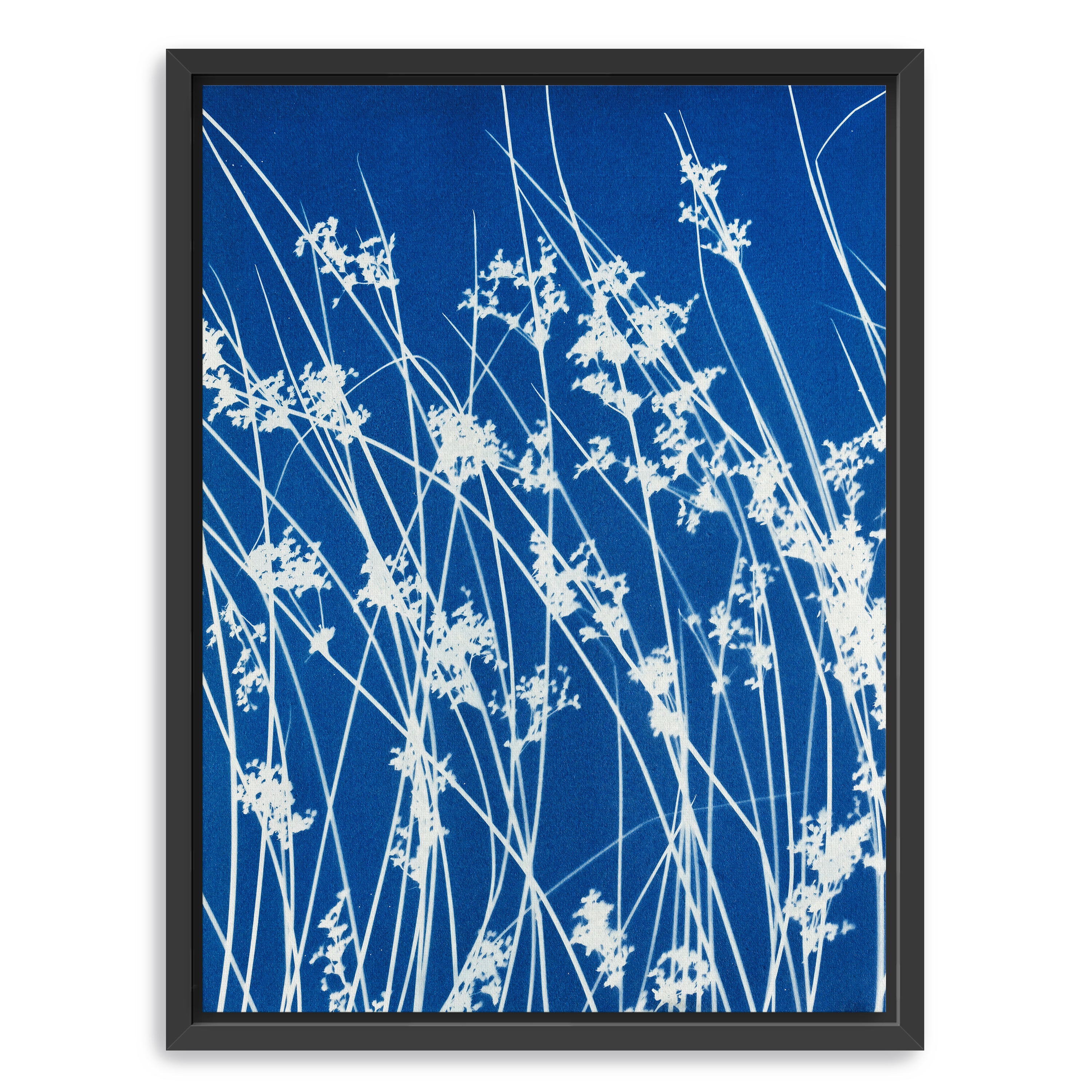 Bending Wild Grass Canvas Giclee