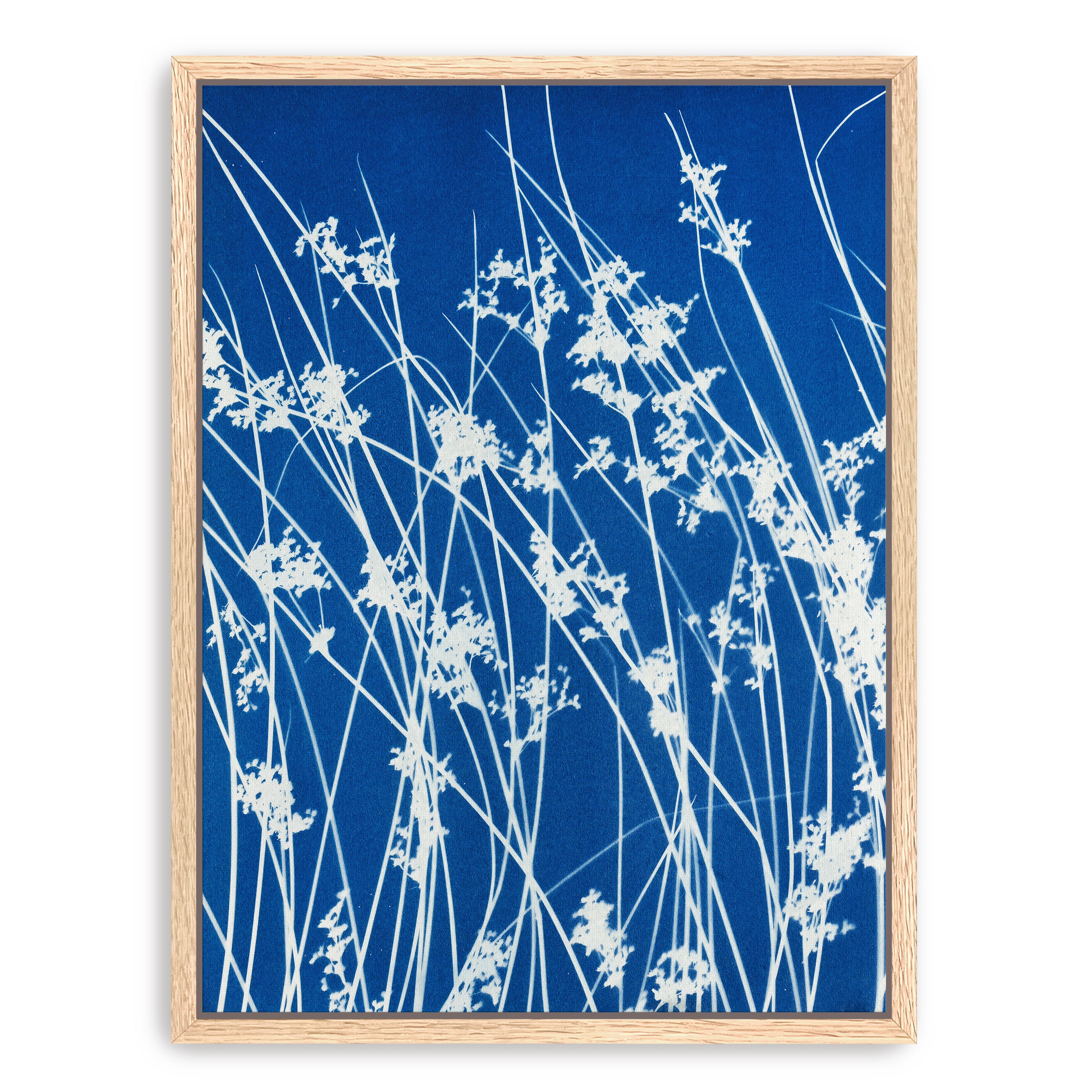 Bending Wild Grass Canvas Giclee