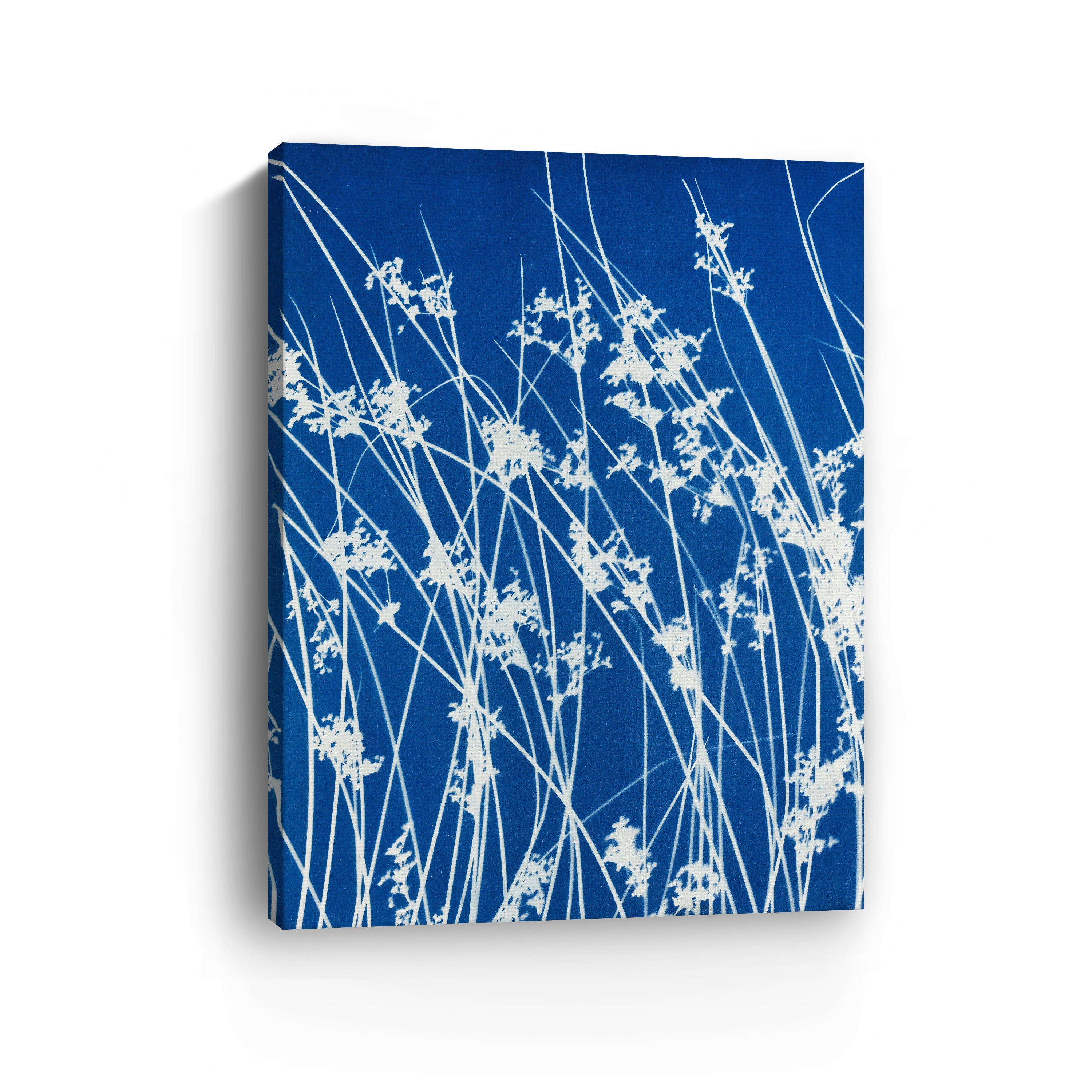Bending Wild Grass Canvas Giclee