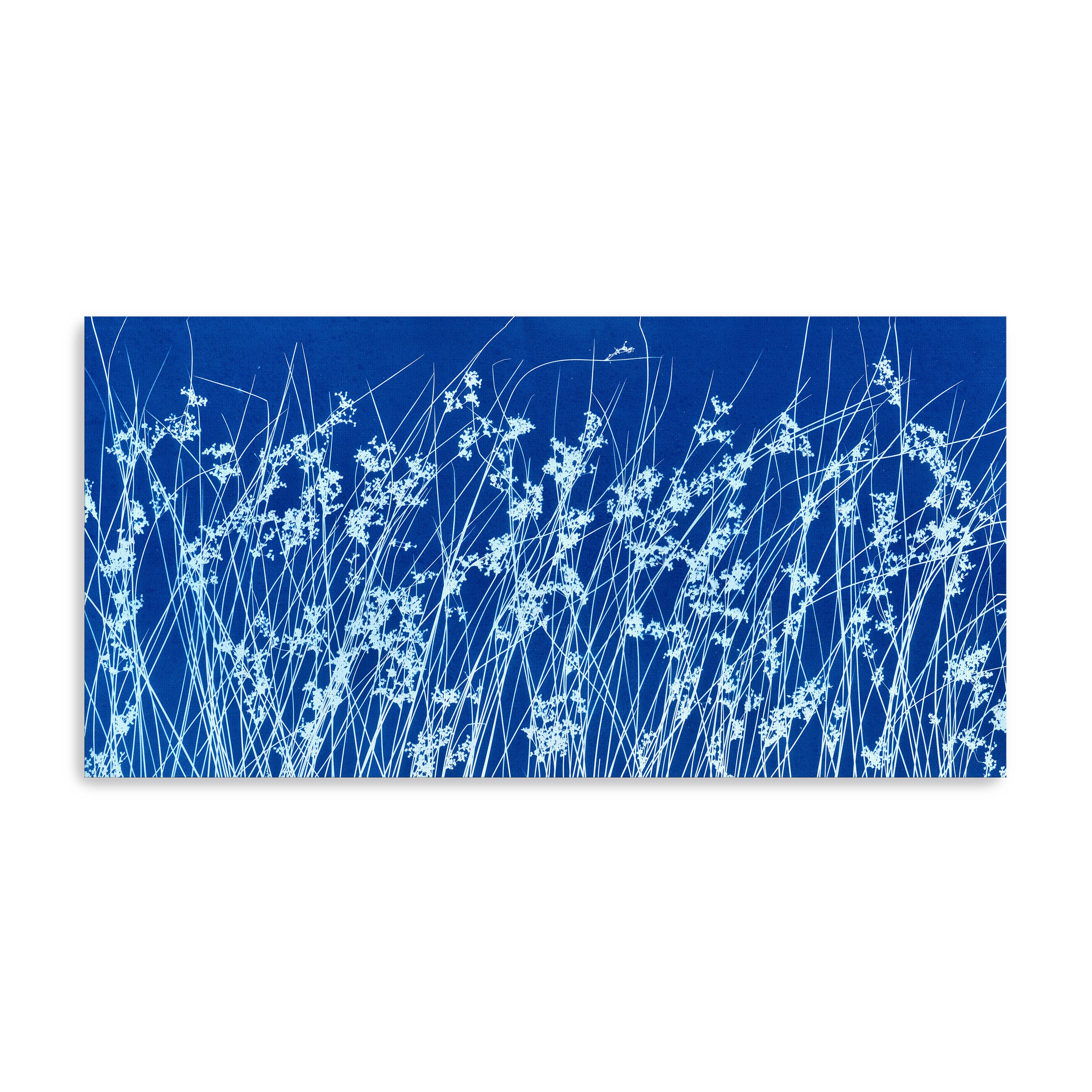 June Breeze Canvas Giclee