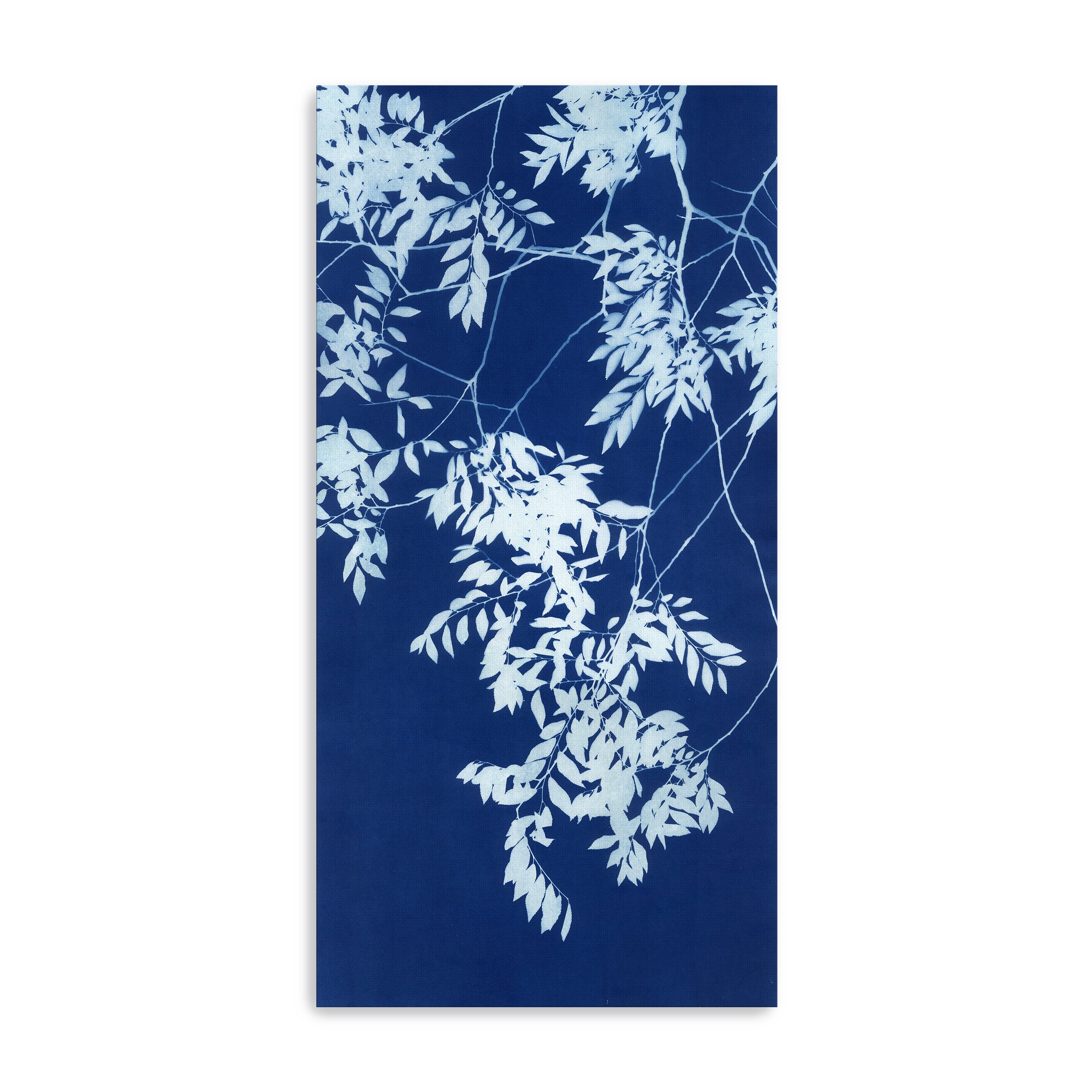 Spring Night 1 Canvas Giclee
