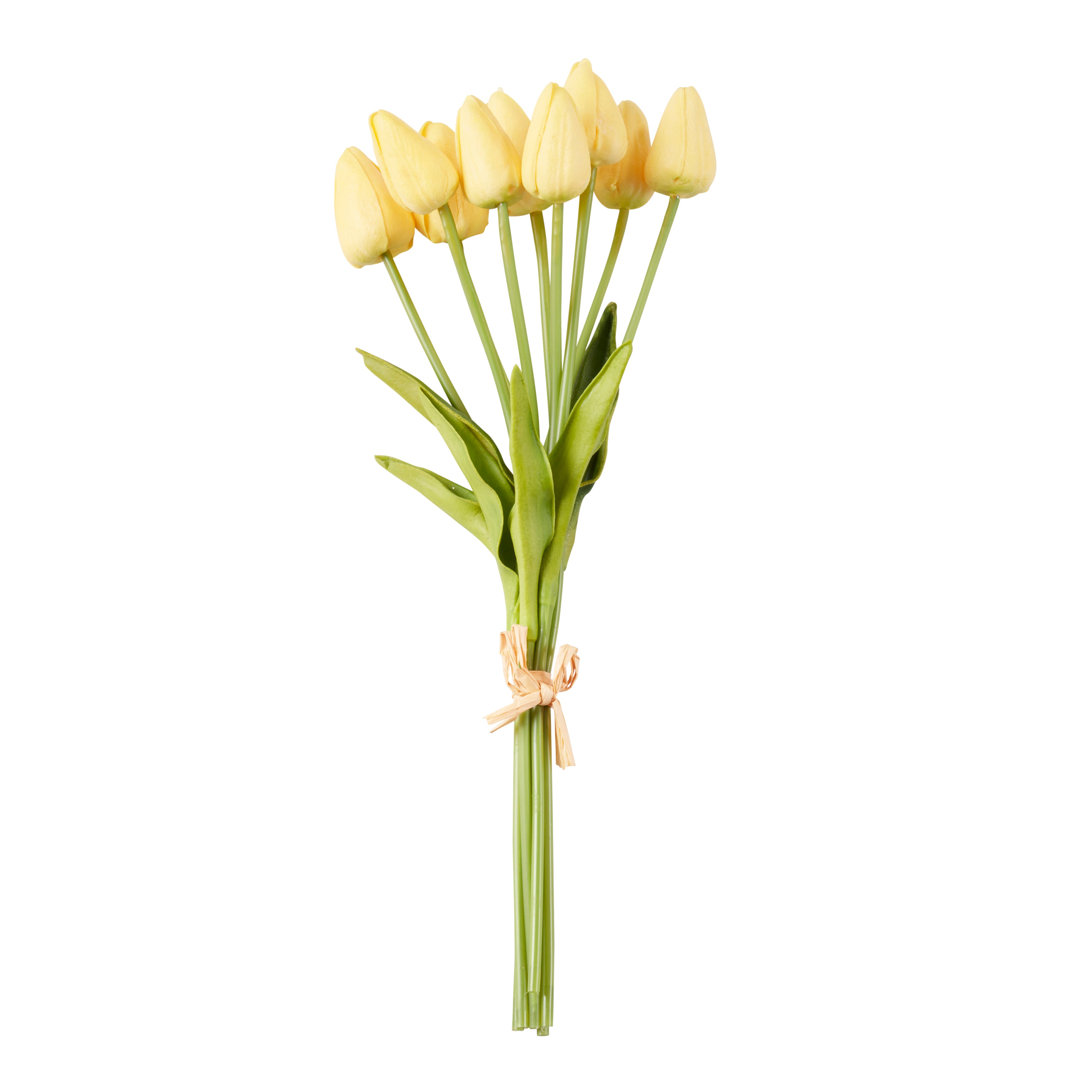 Petite Tulip 9-Piece Bunch, Set of 12