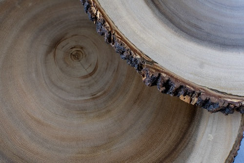 Pier 1 Wood Bark Chargers - Thumbnail 3