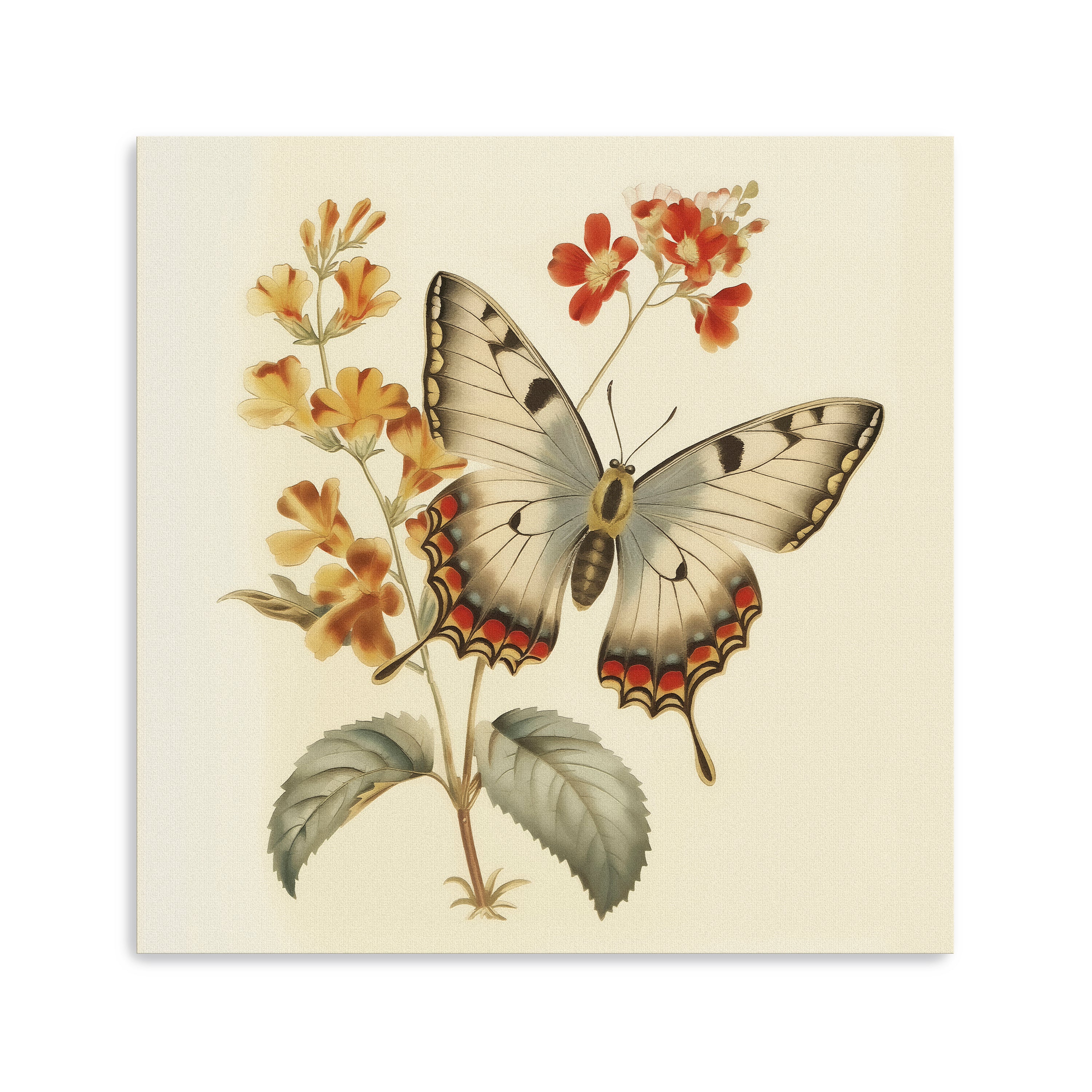 Floral Butterfly Canvas Giclee