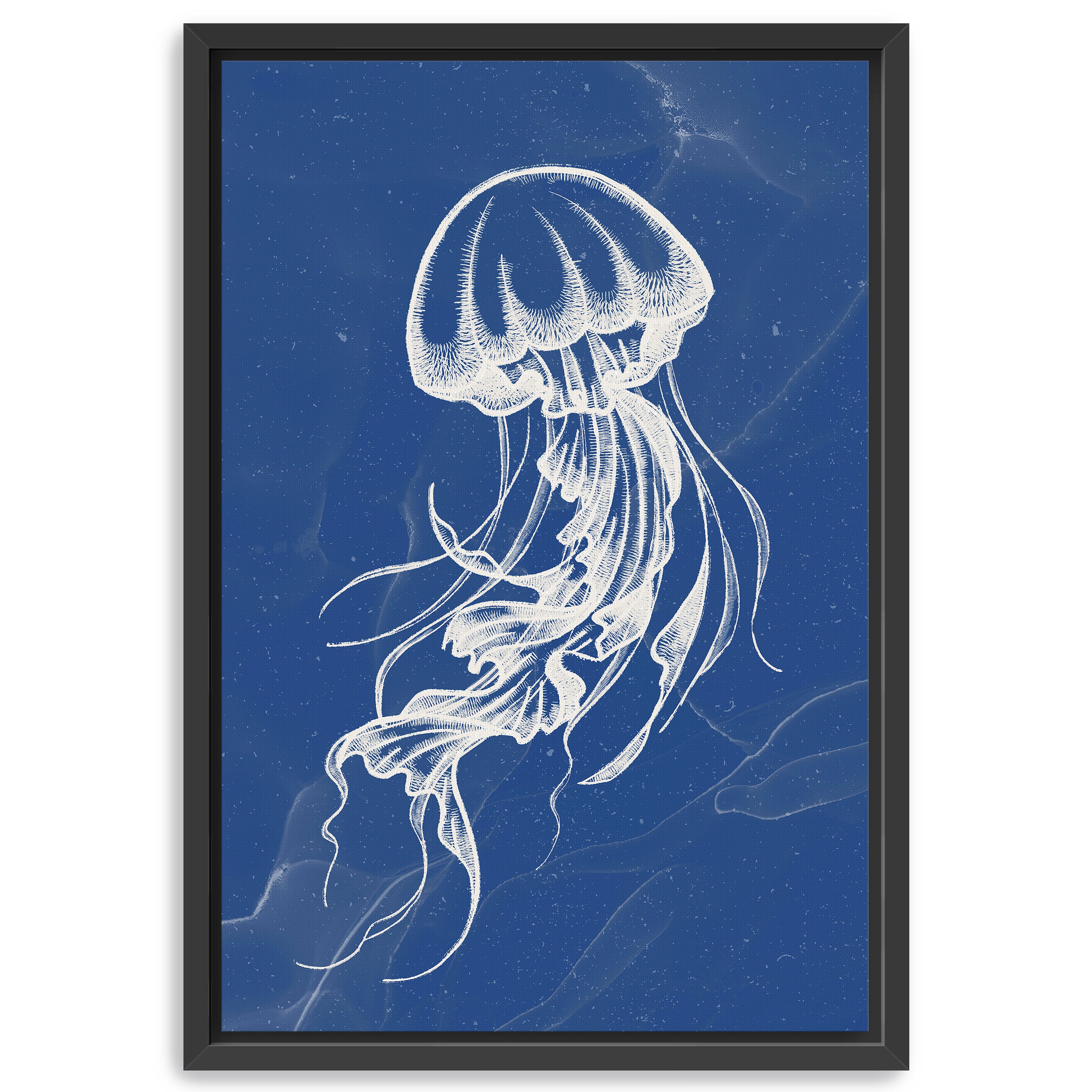Jellyfish III Canvas Giclee