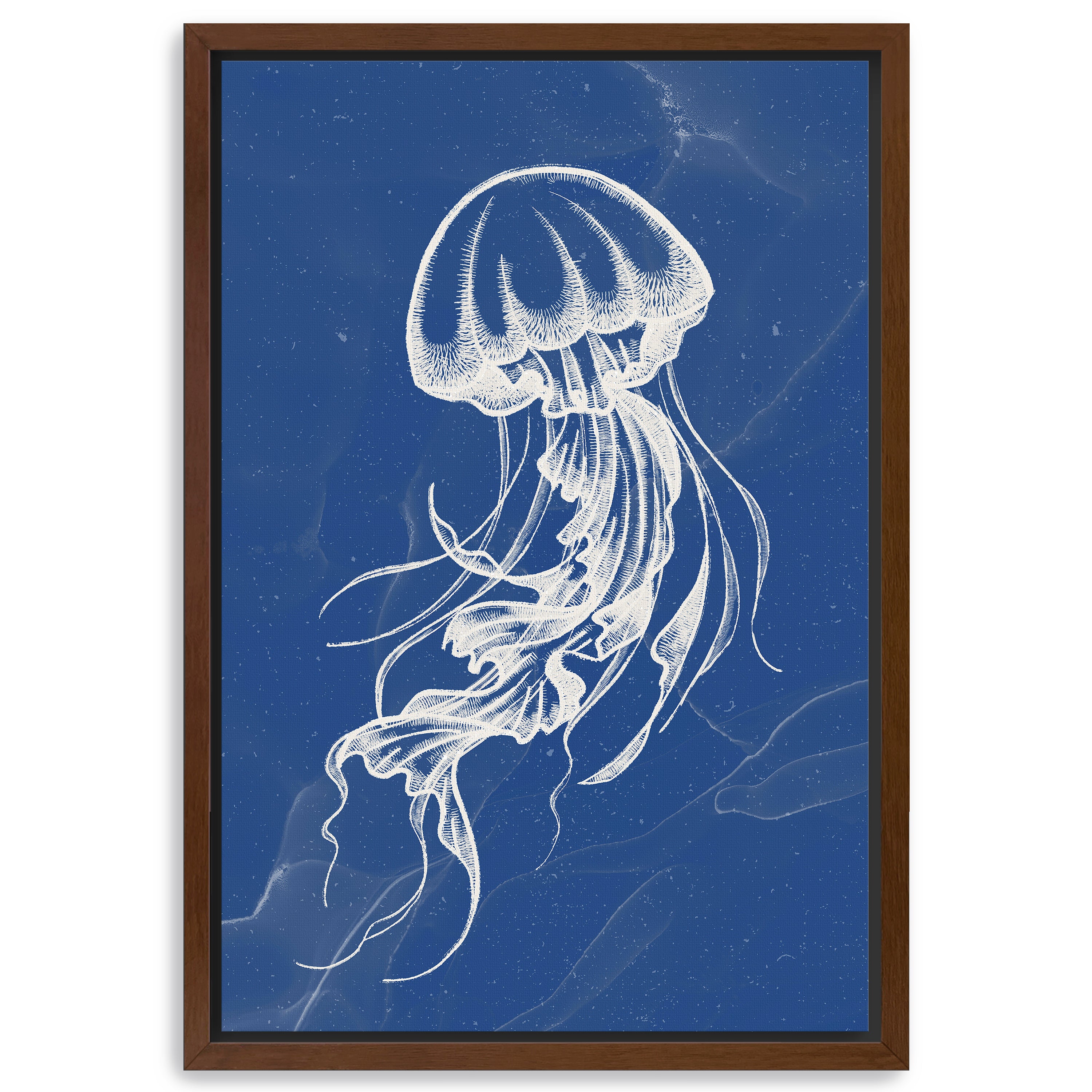 Jellyfish III Canvas Giclee