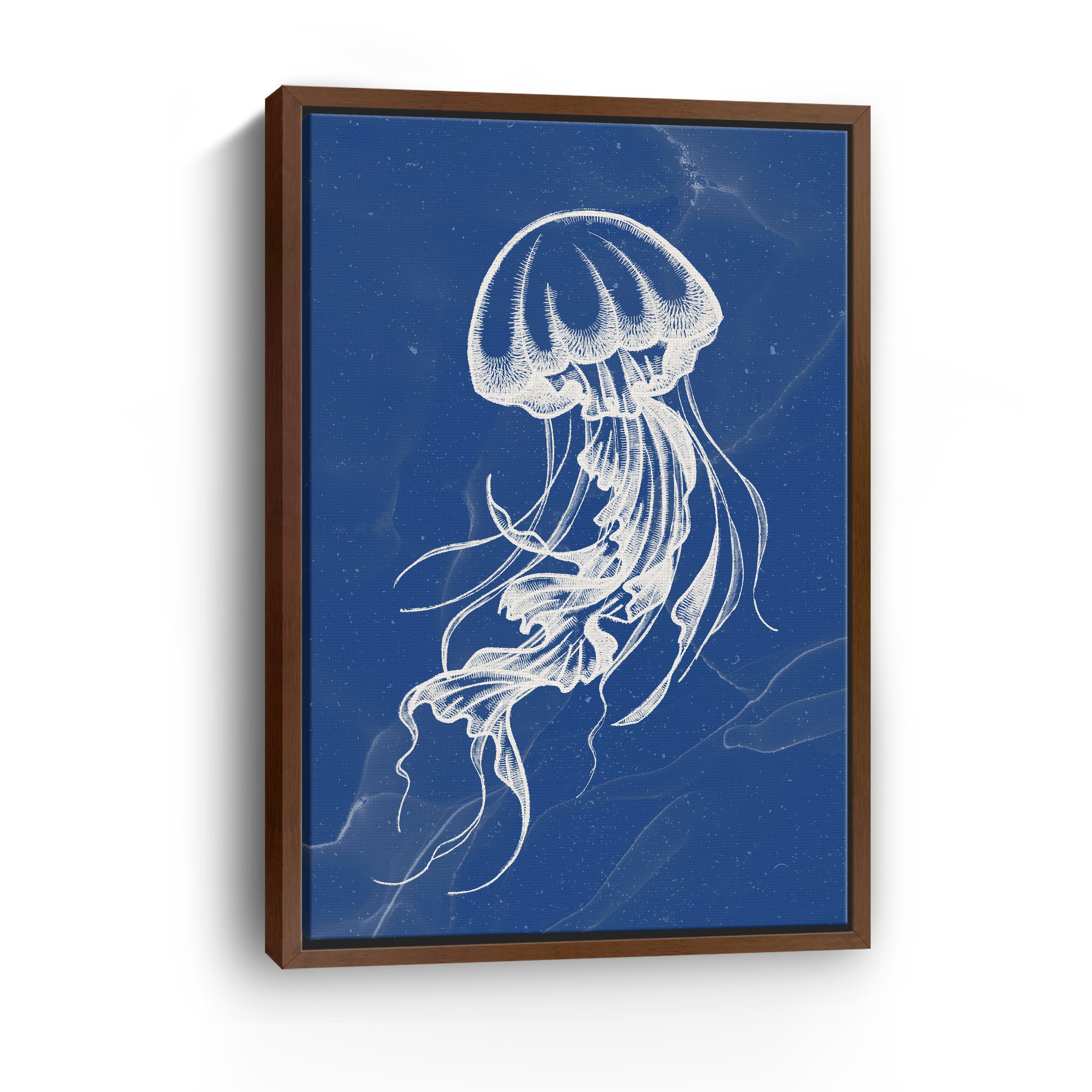 Jellyfish III Canvas Giclee