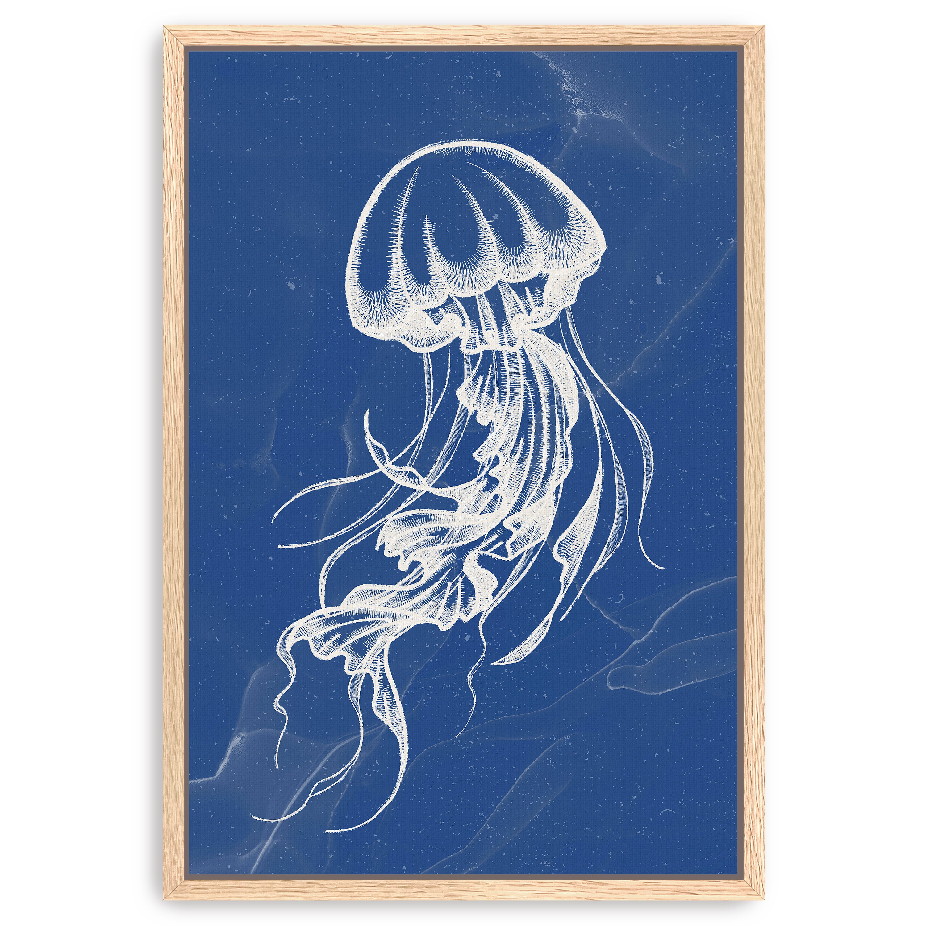 Jellyfish III Canvas Giclee