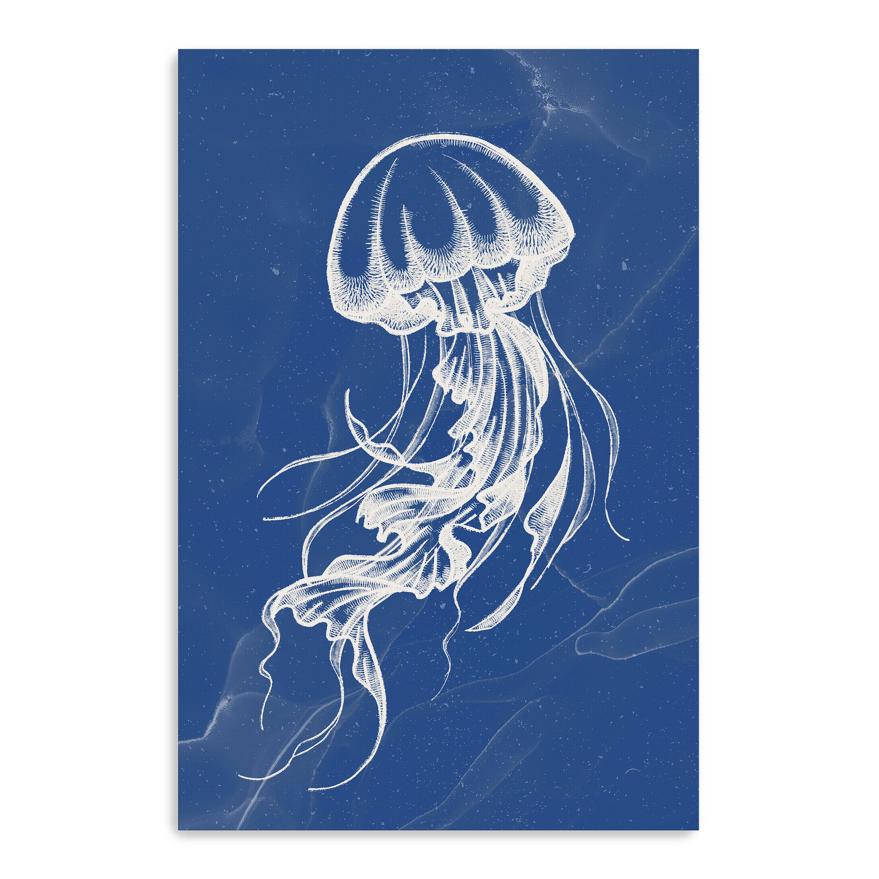 Jellyfish III Canvas Giclee