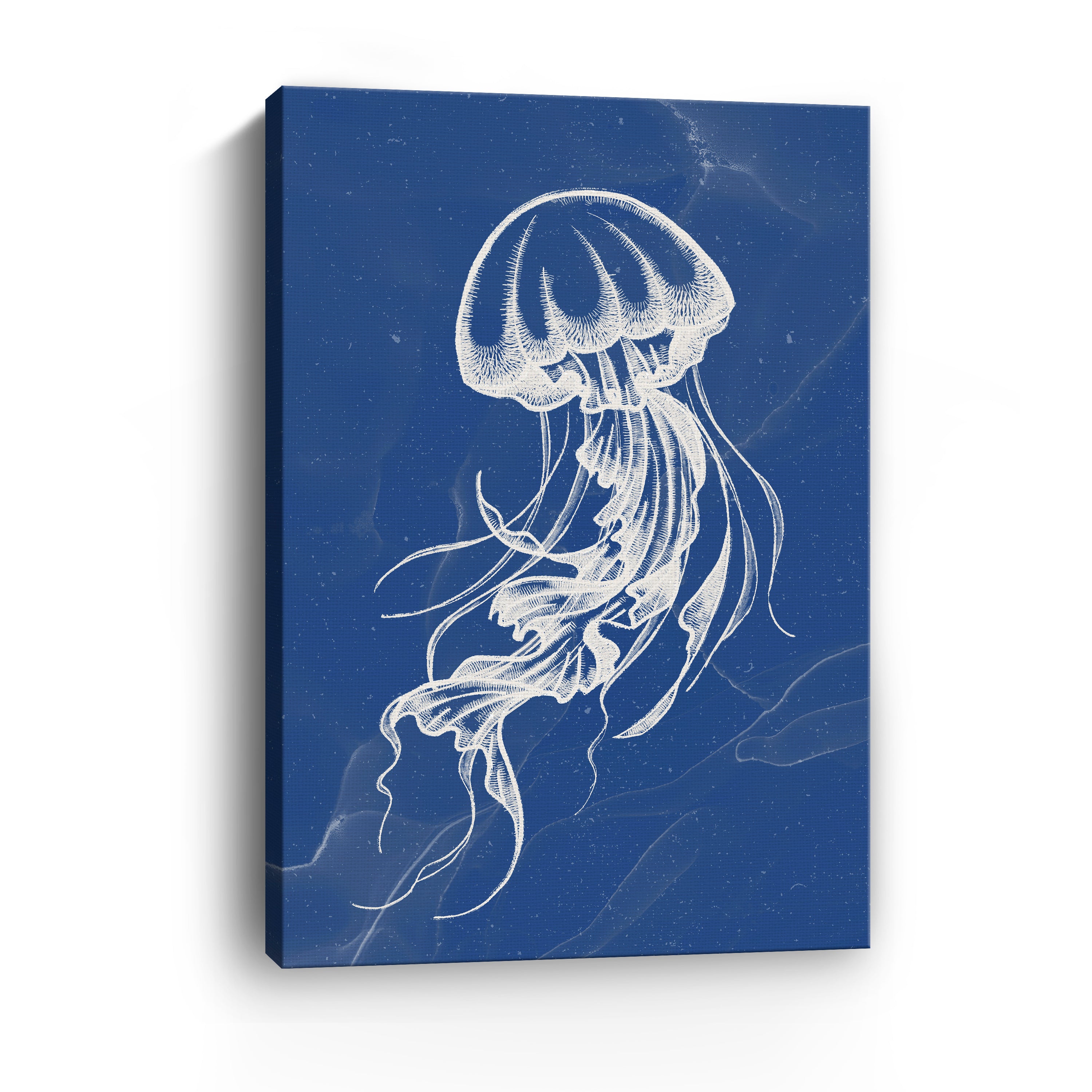 Jellyfish III Canvas Giclee