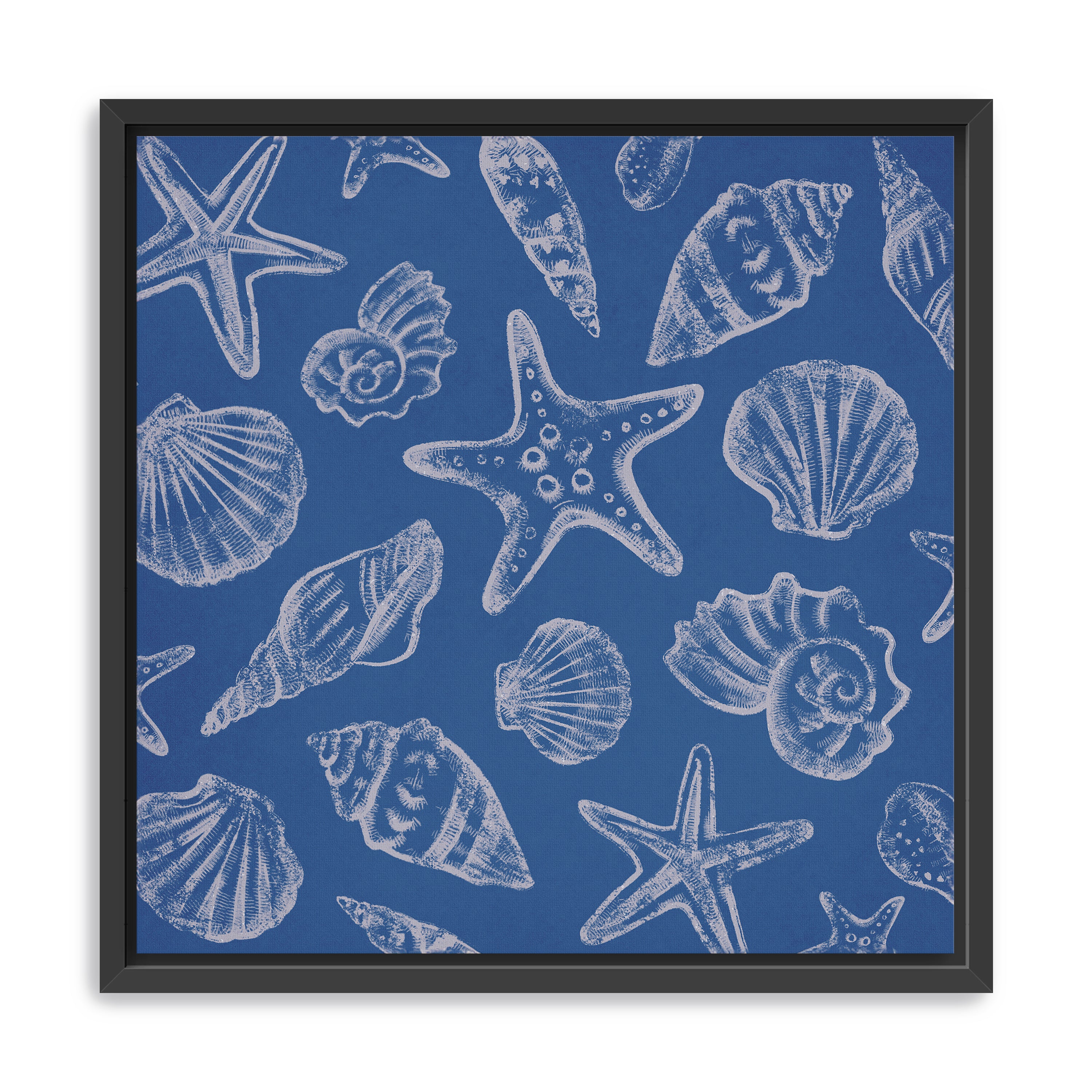 Seashells III Canvas Giclee