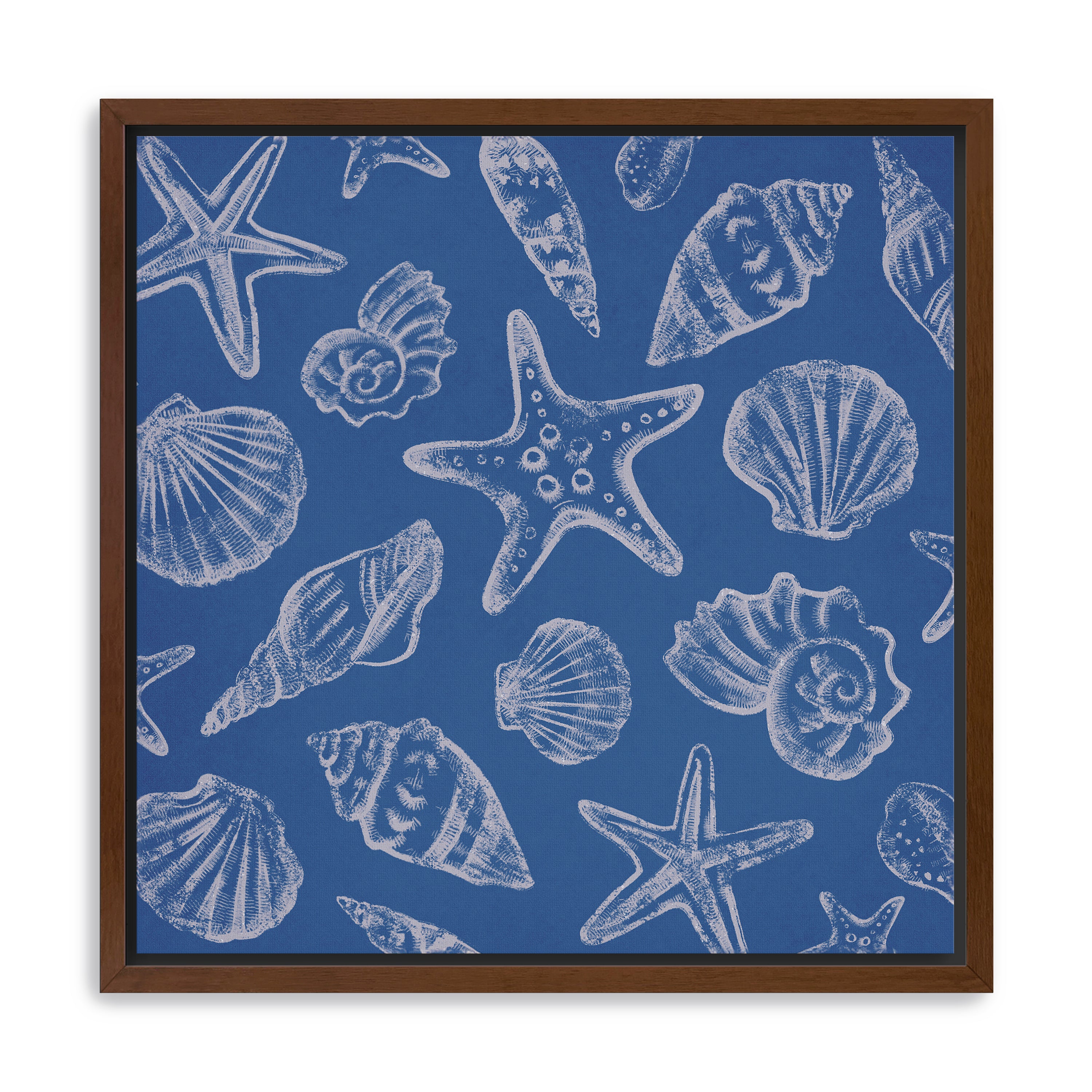 Seashells III Canvas Giclee