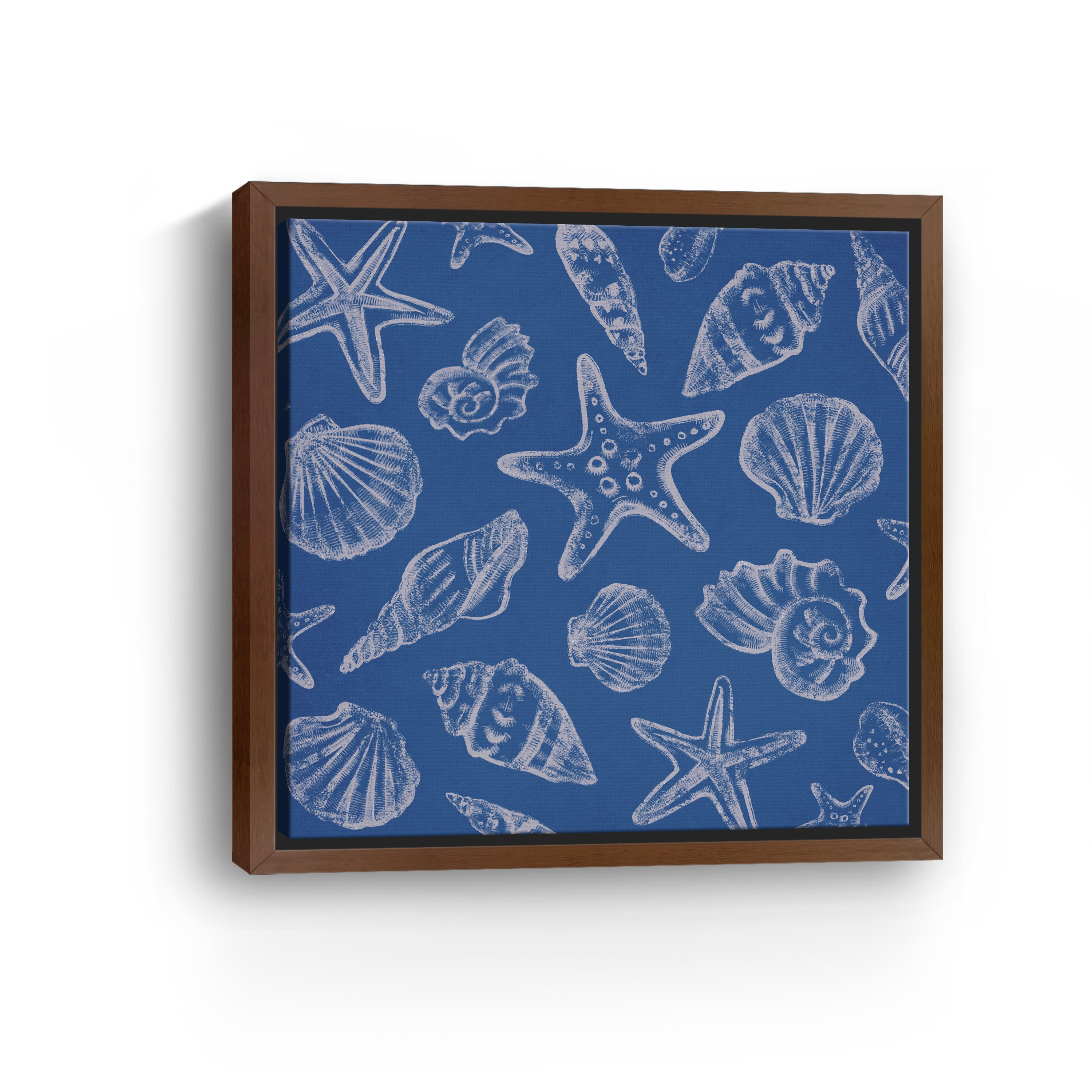 Seashells III Canvas Giclee