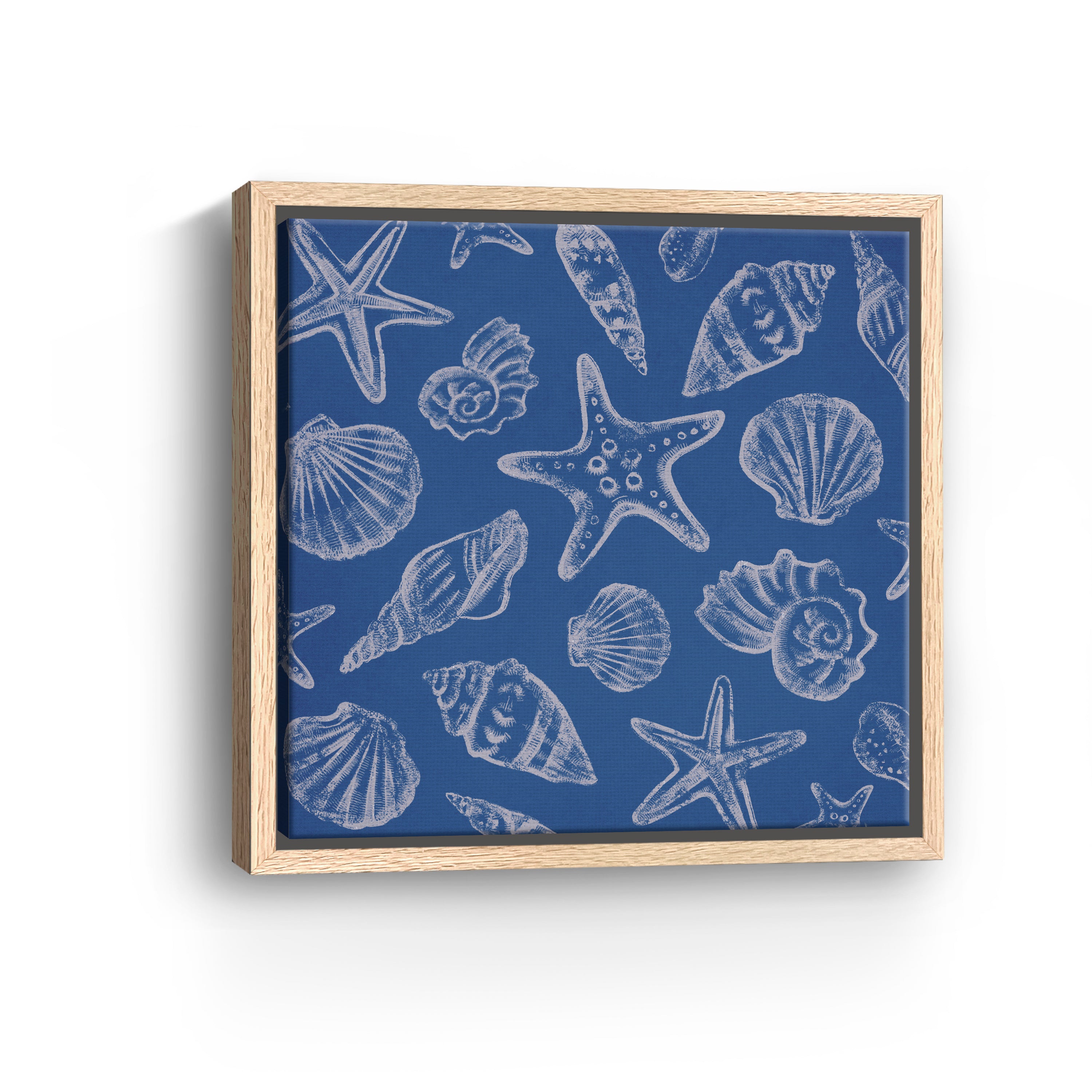 Seashells III Canvas Giclee