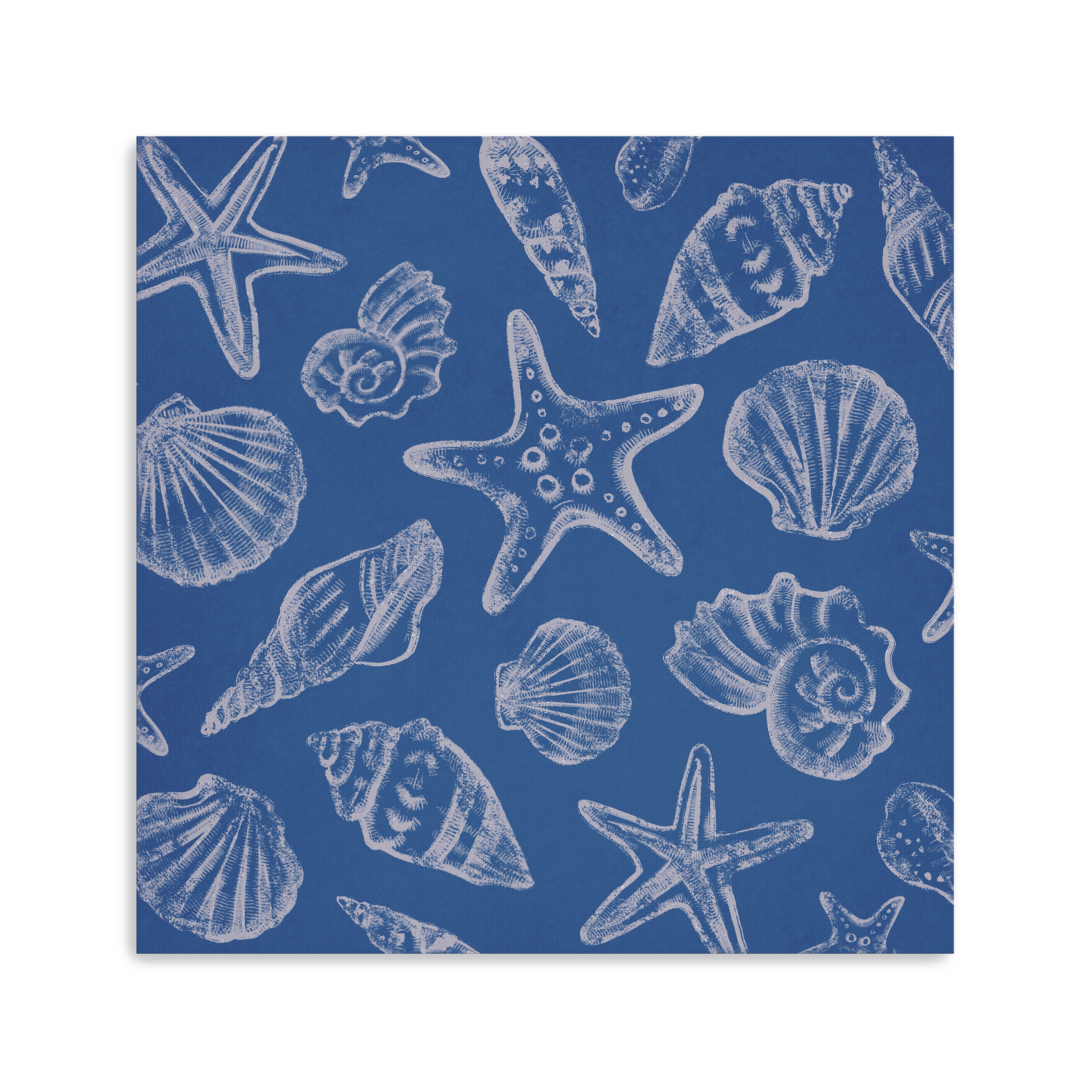 Seashells III Canvas Giclee