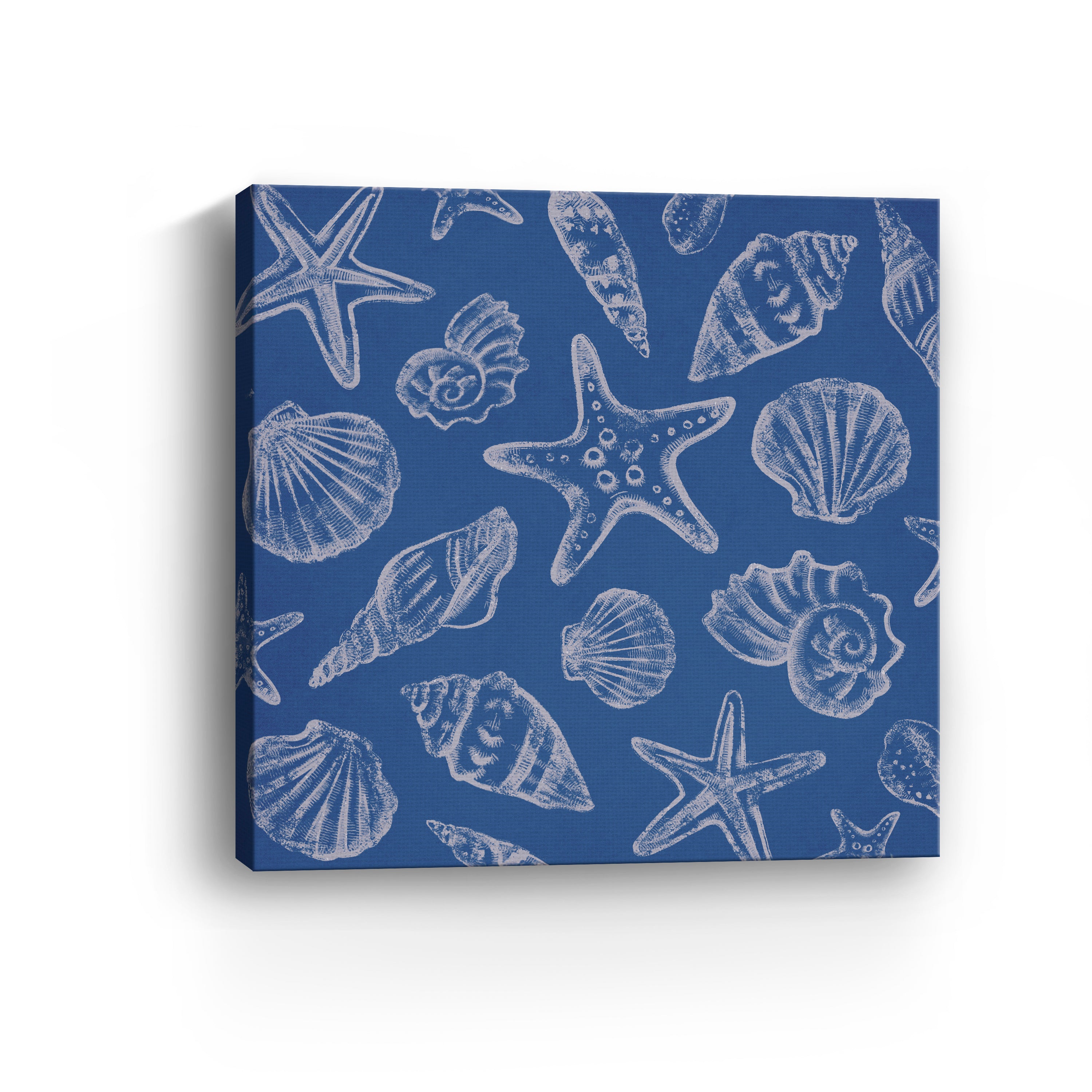 Seashells III Canvas Giclee