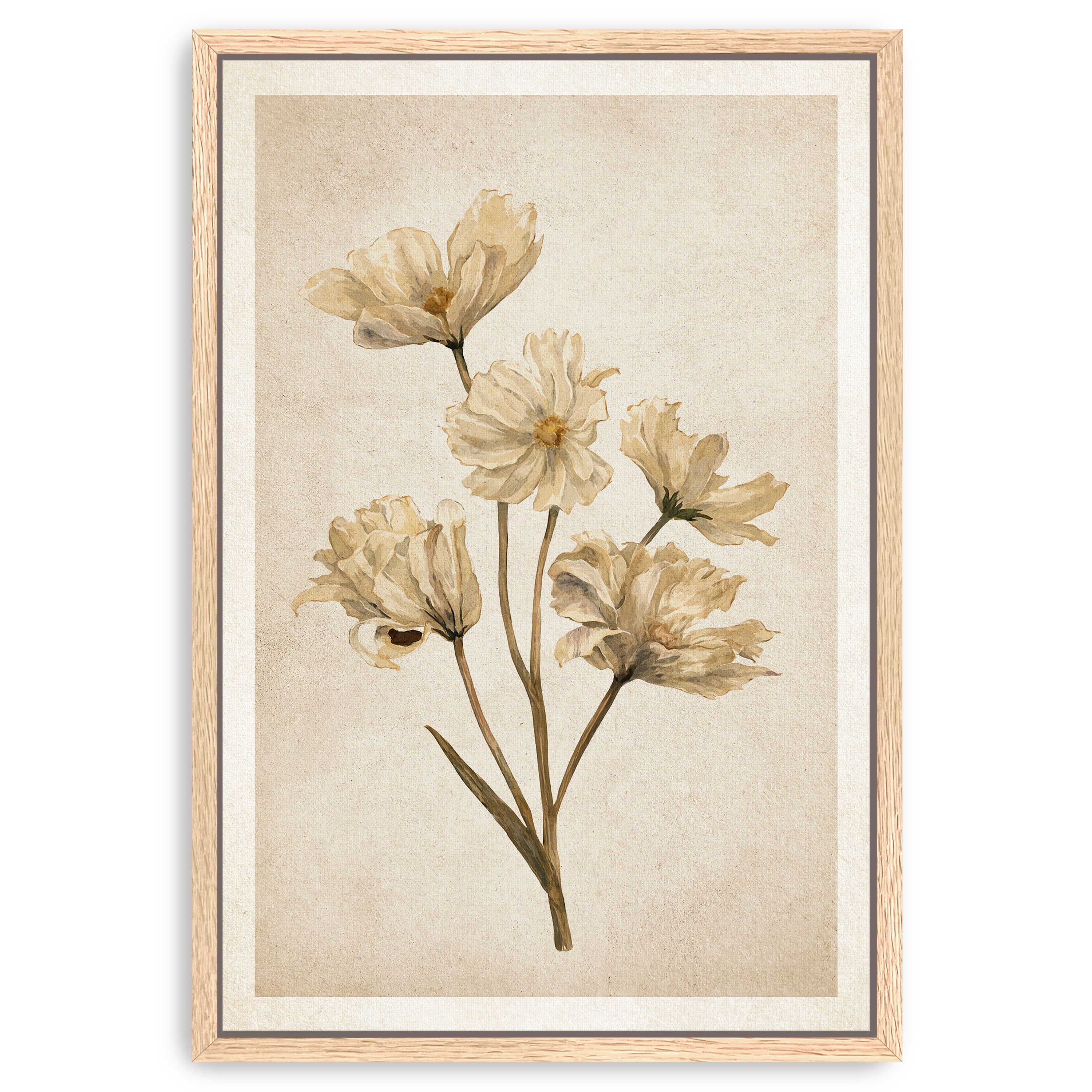 Faded Elegance Canvas Giclee