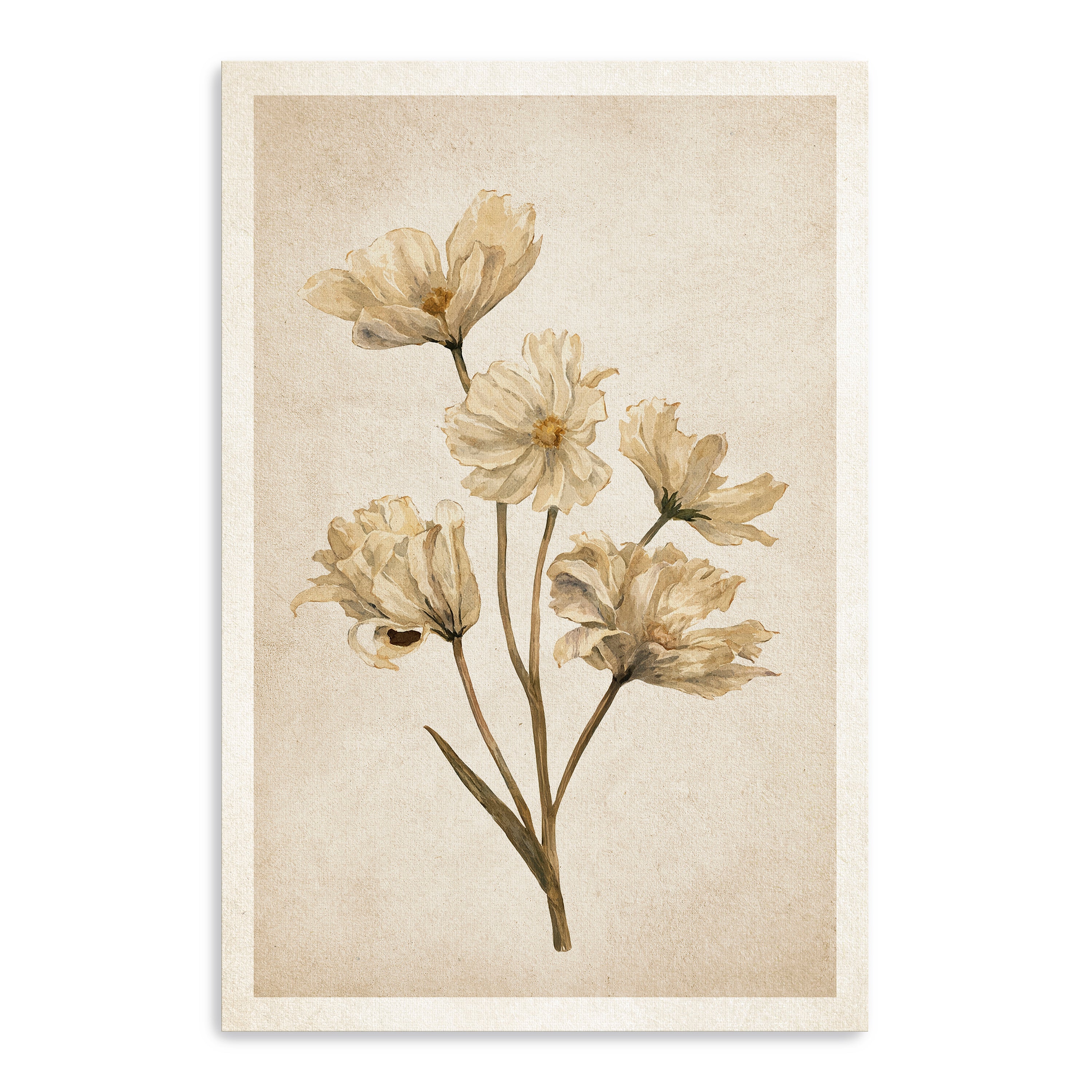 Faded Elegance Canvas Giclee