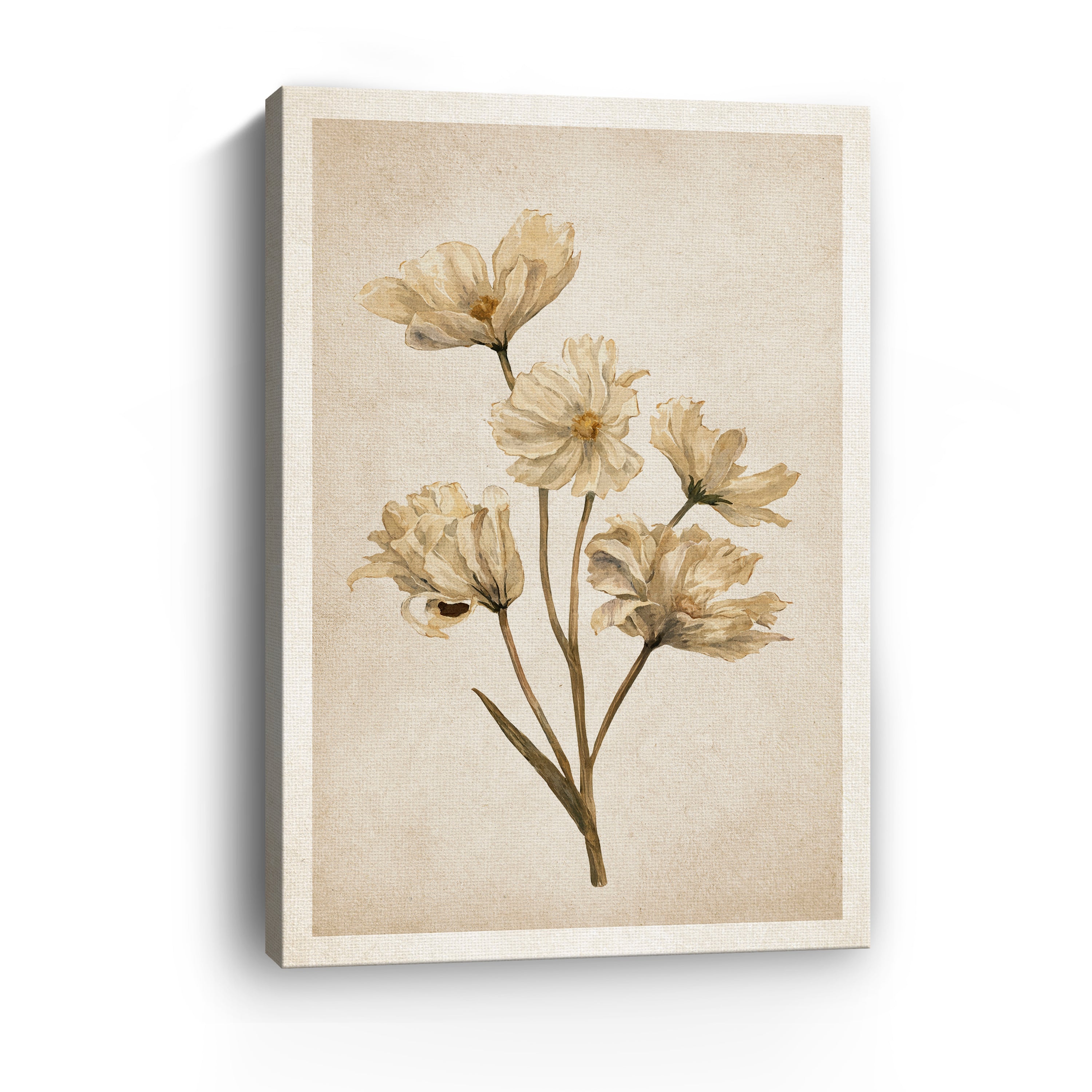 Faded Elegance Canvas Giclee
