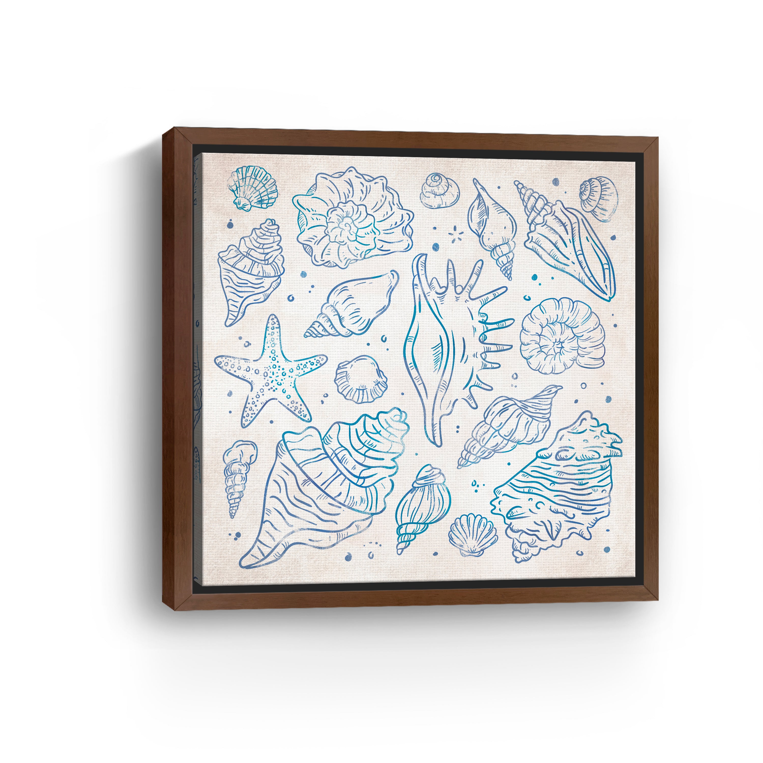 Sea Shells I Canvas Giclee