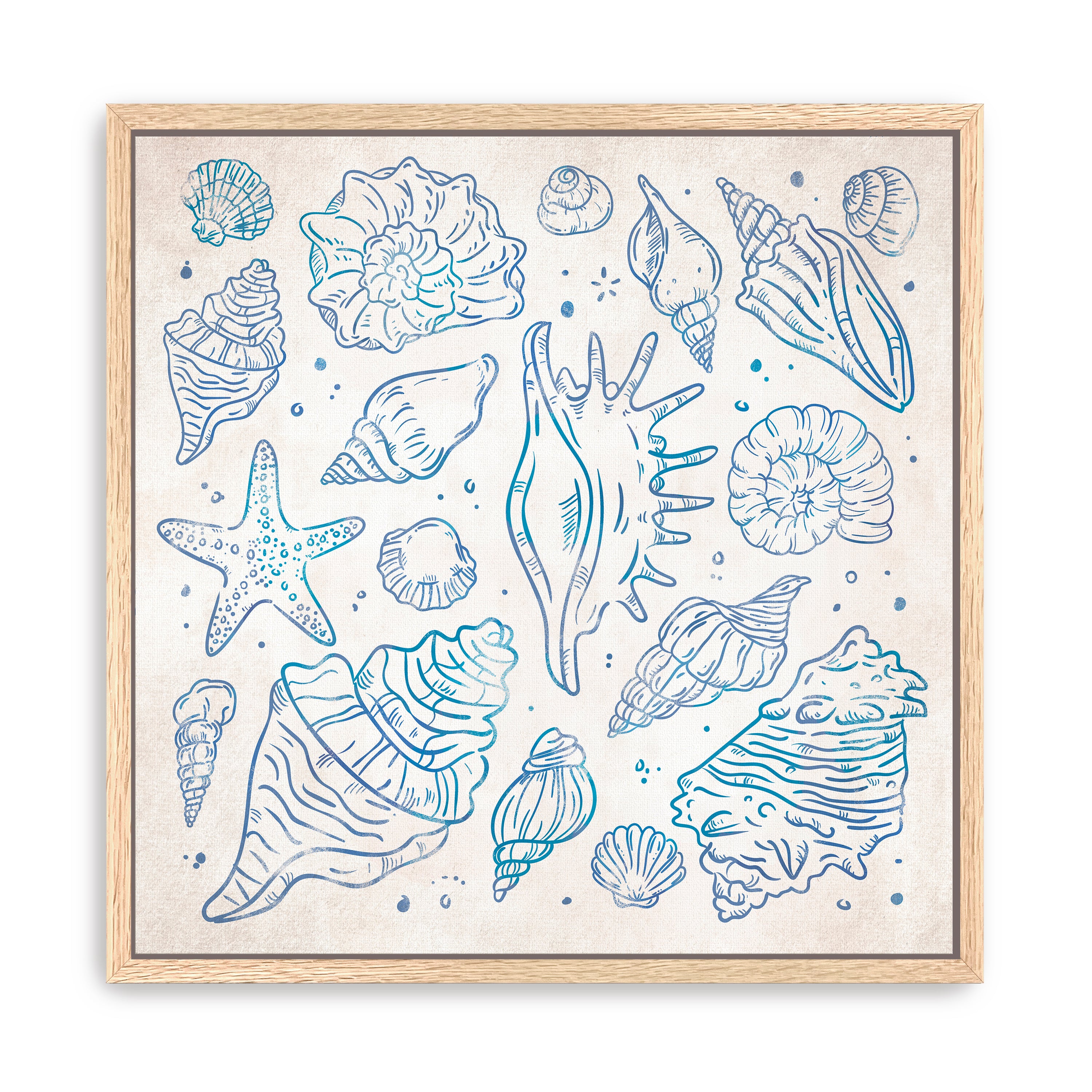 Sea Shells I Canvas Giclee