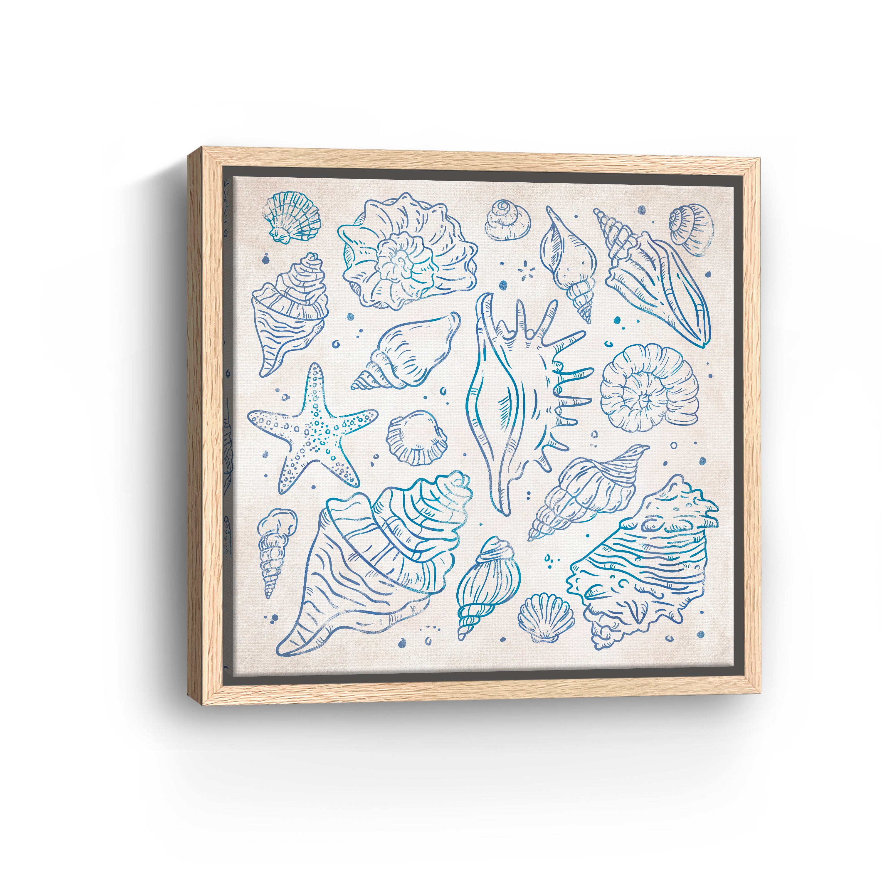Sea Shells I Canvas Giclee