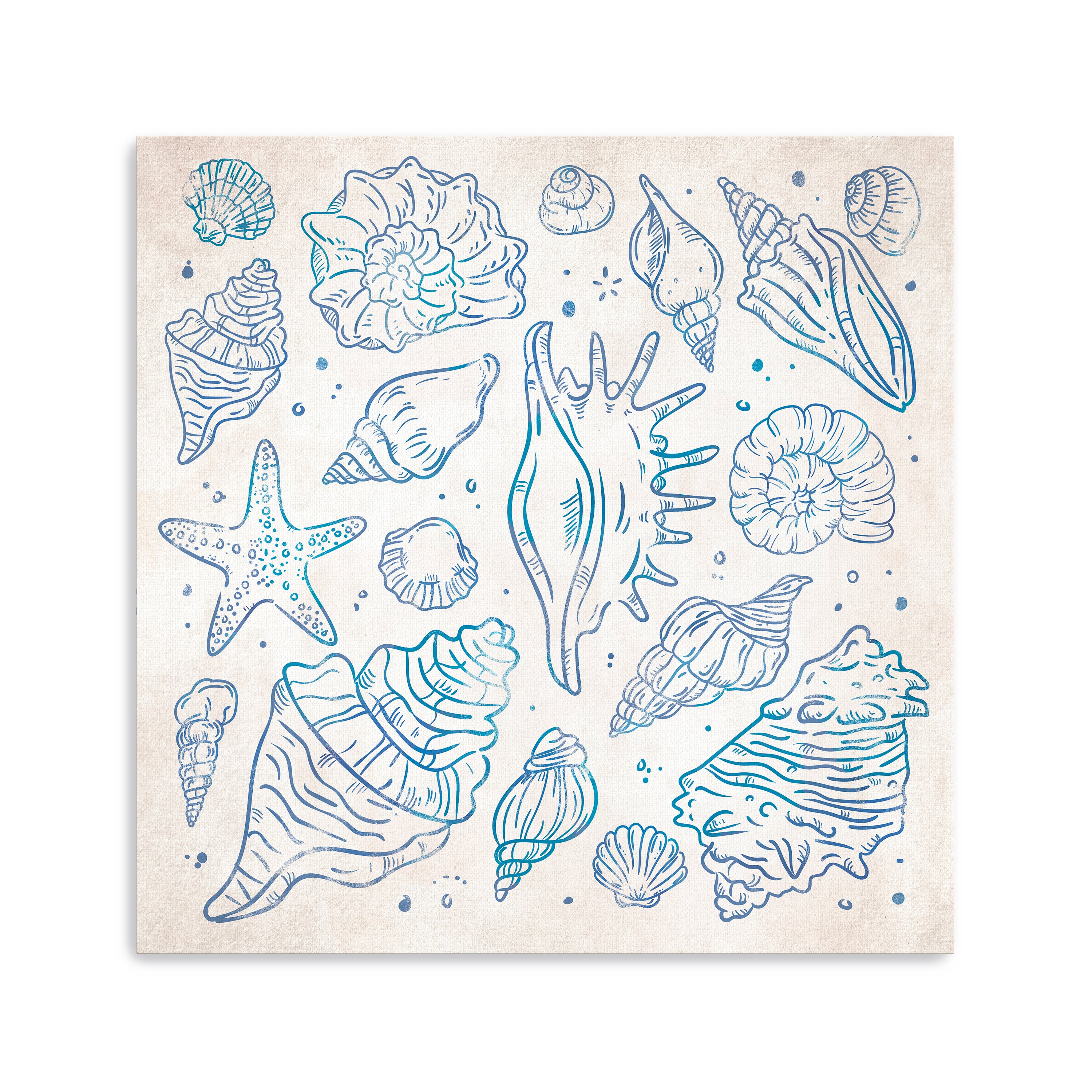Sea Shells I Canvas Giclee