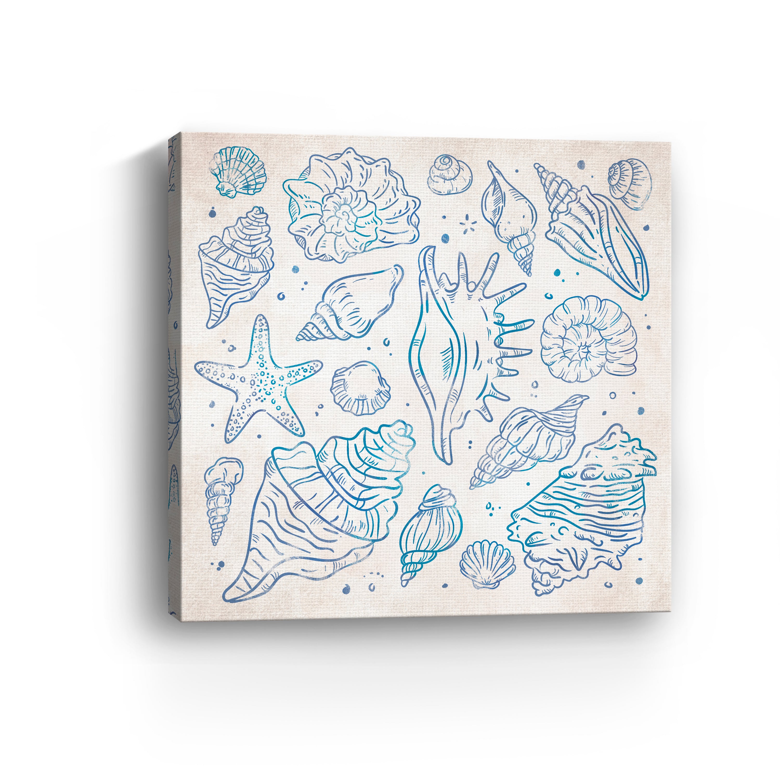 Sea Shells I Canvas Giclee