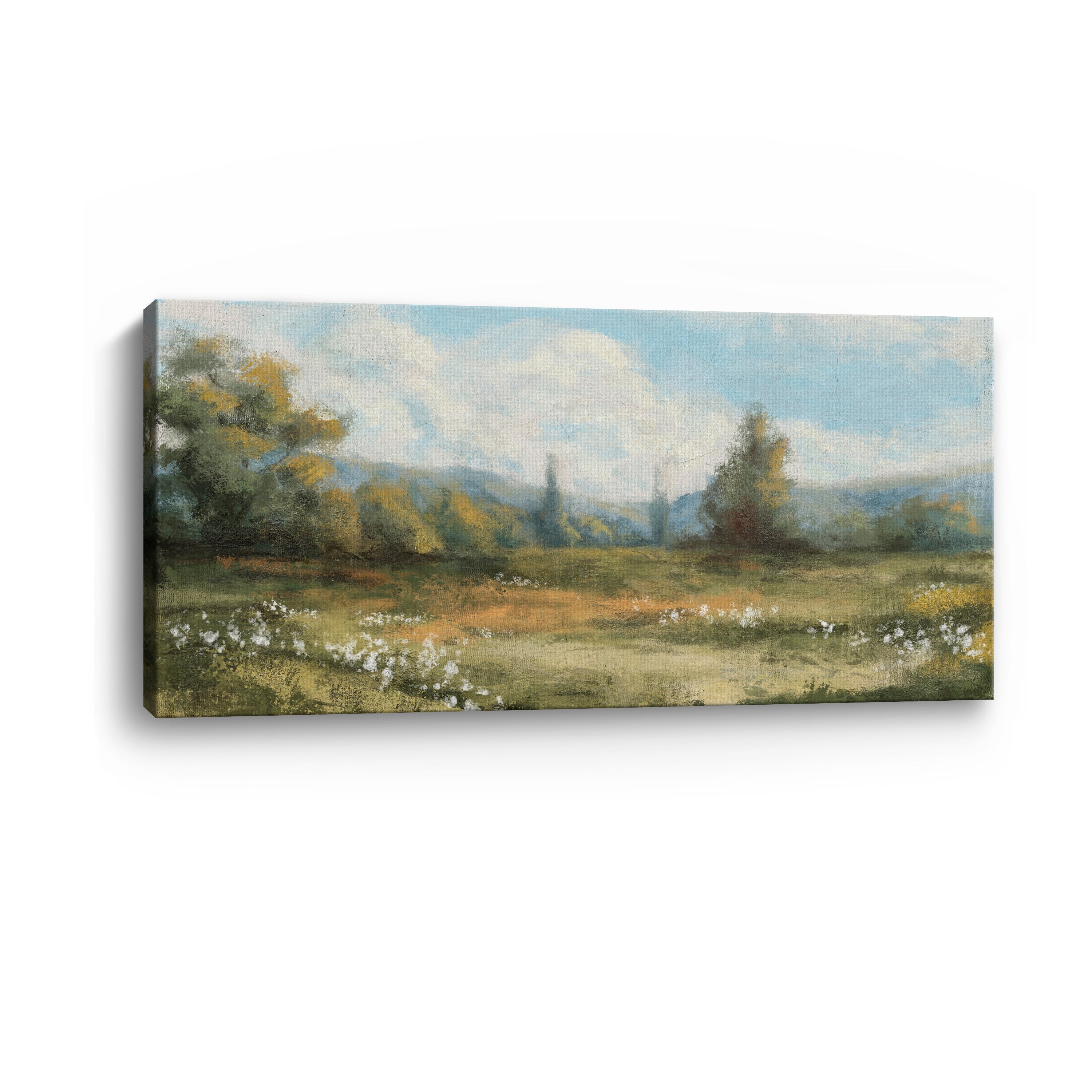 Abstract Panoramic Field Canvas Giclee