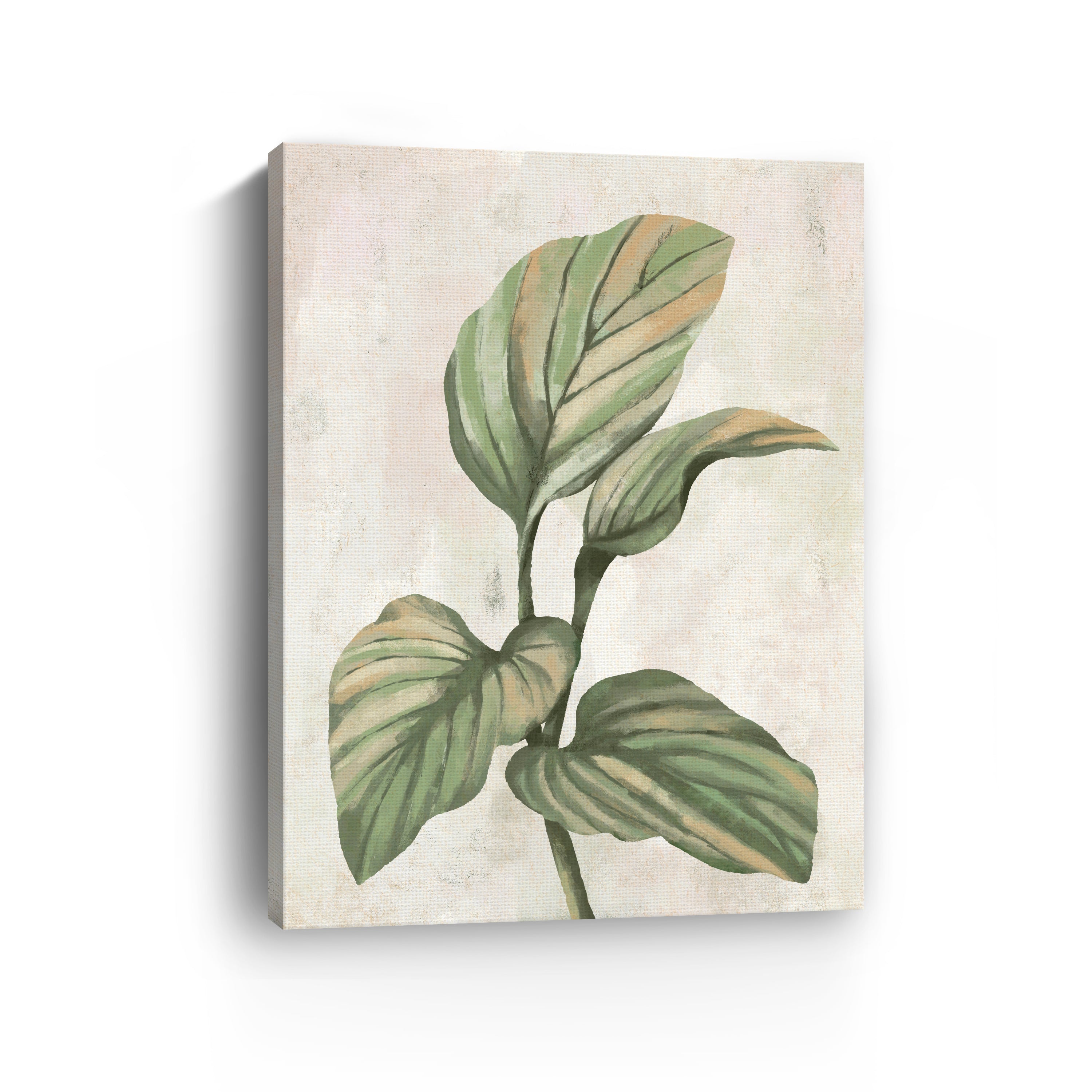 Tropical Leaves Canvas Giclee