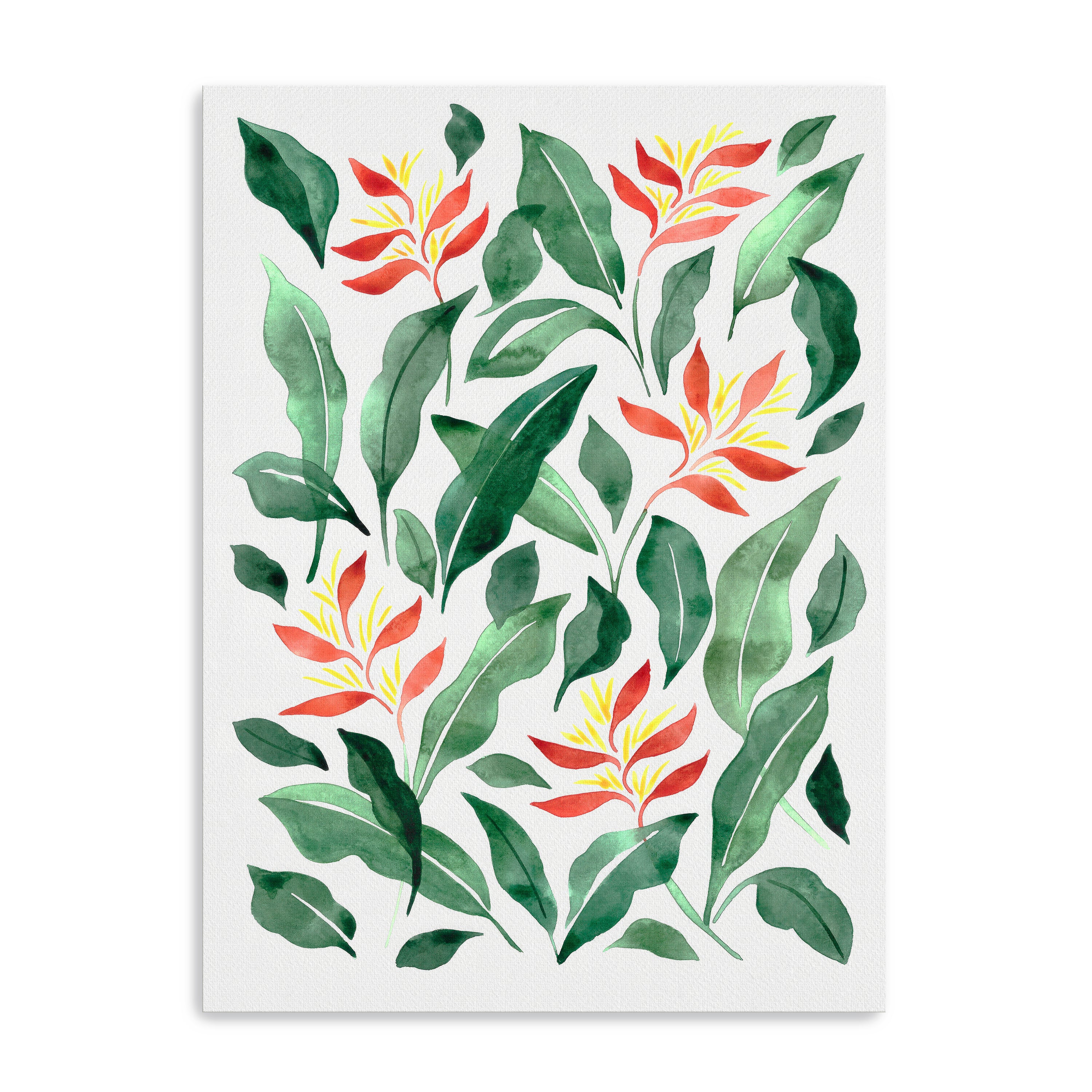 Parakeet Flower Canvas Giclee