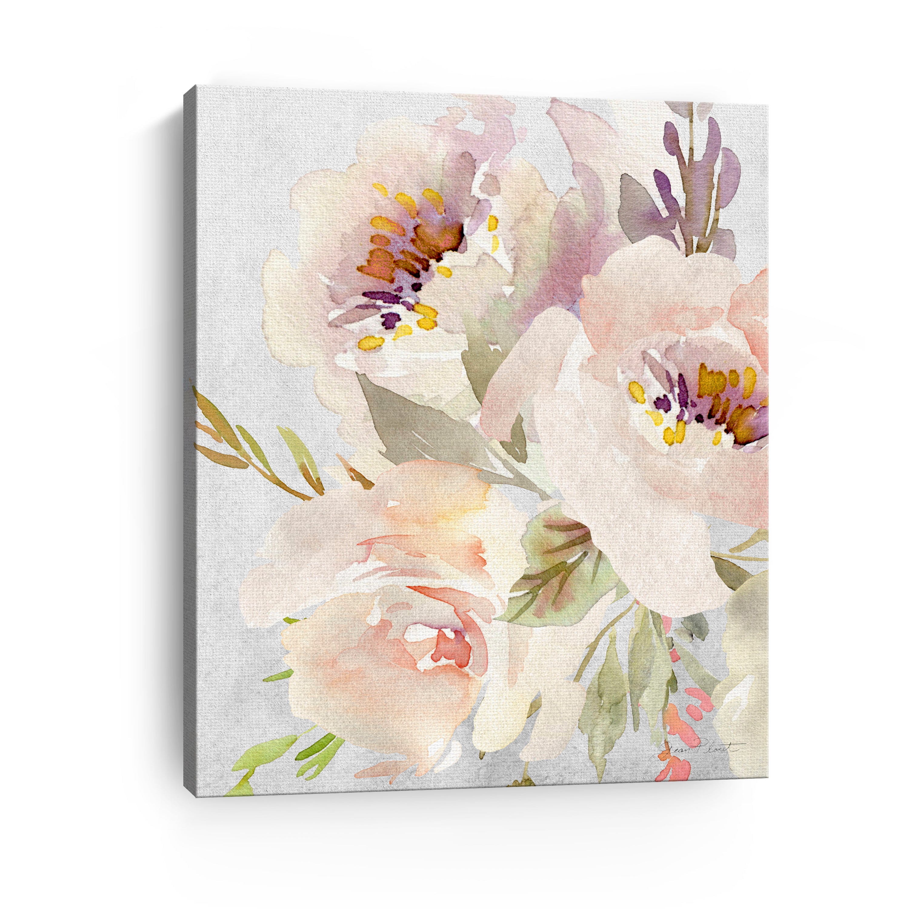 Soft Blossoms II Canvas Giclee