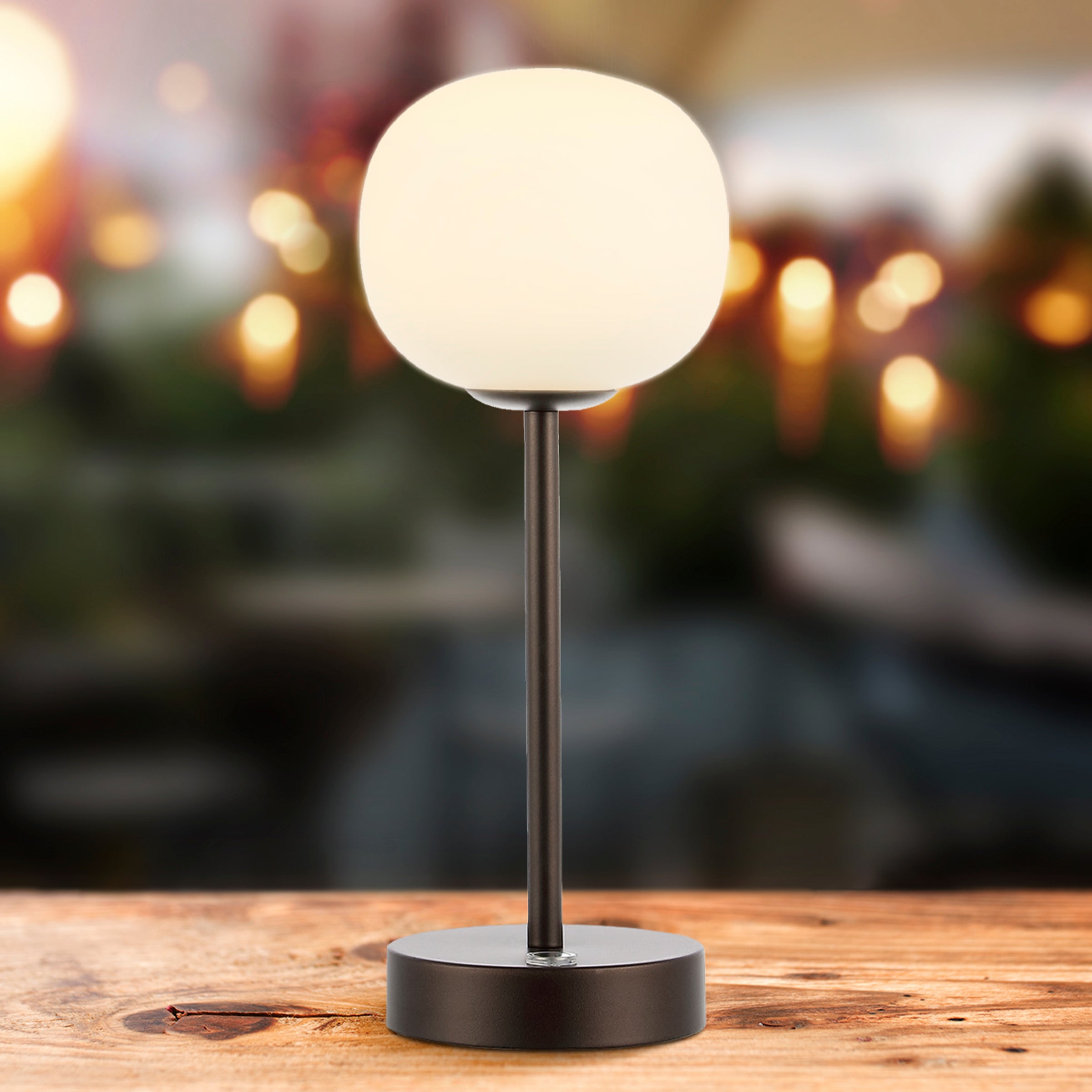 Natalia Modern Minimalist Iron Rechargeable Integrated Portable LED Table Lamp