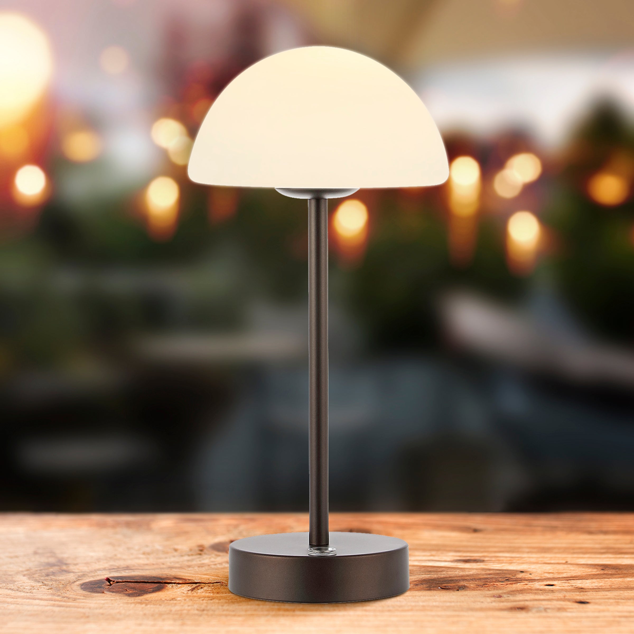 Xavier Modern Minimalist Iron Rechargeable Integrated Portable LED Table Lamp