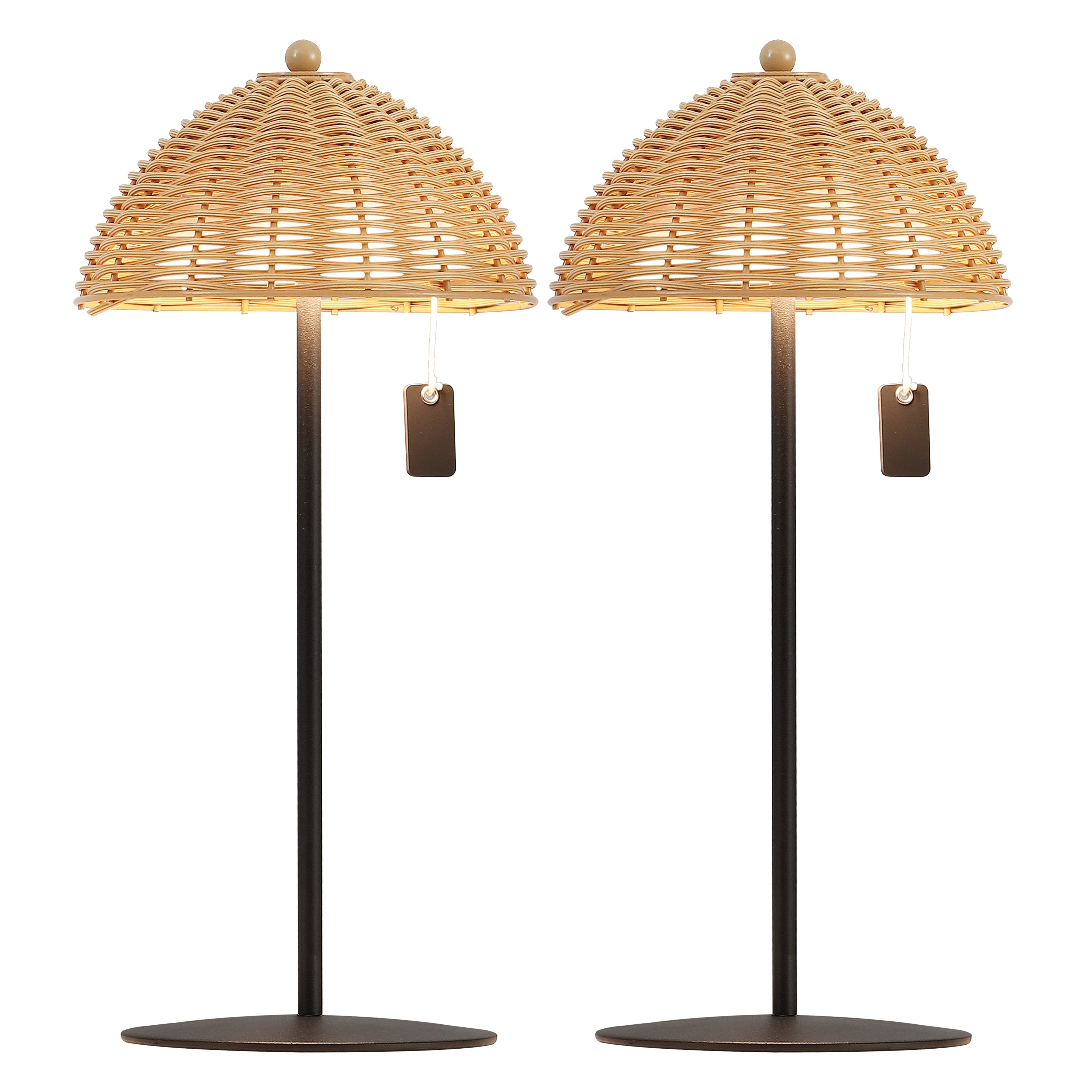 Tilly 12.75" Modern Coastal Indoor/Outdoor Wicker Shade Rechargeable/Cordless Dimmable Integrated LED Table Lamp, Set of 2