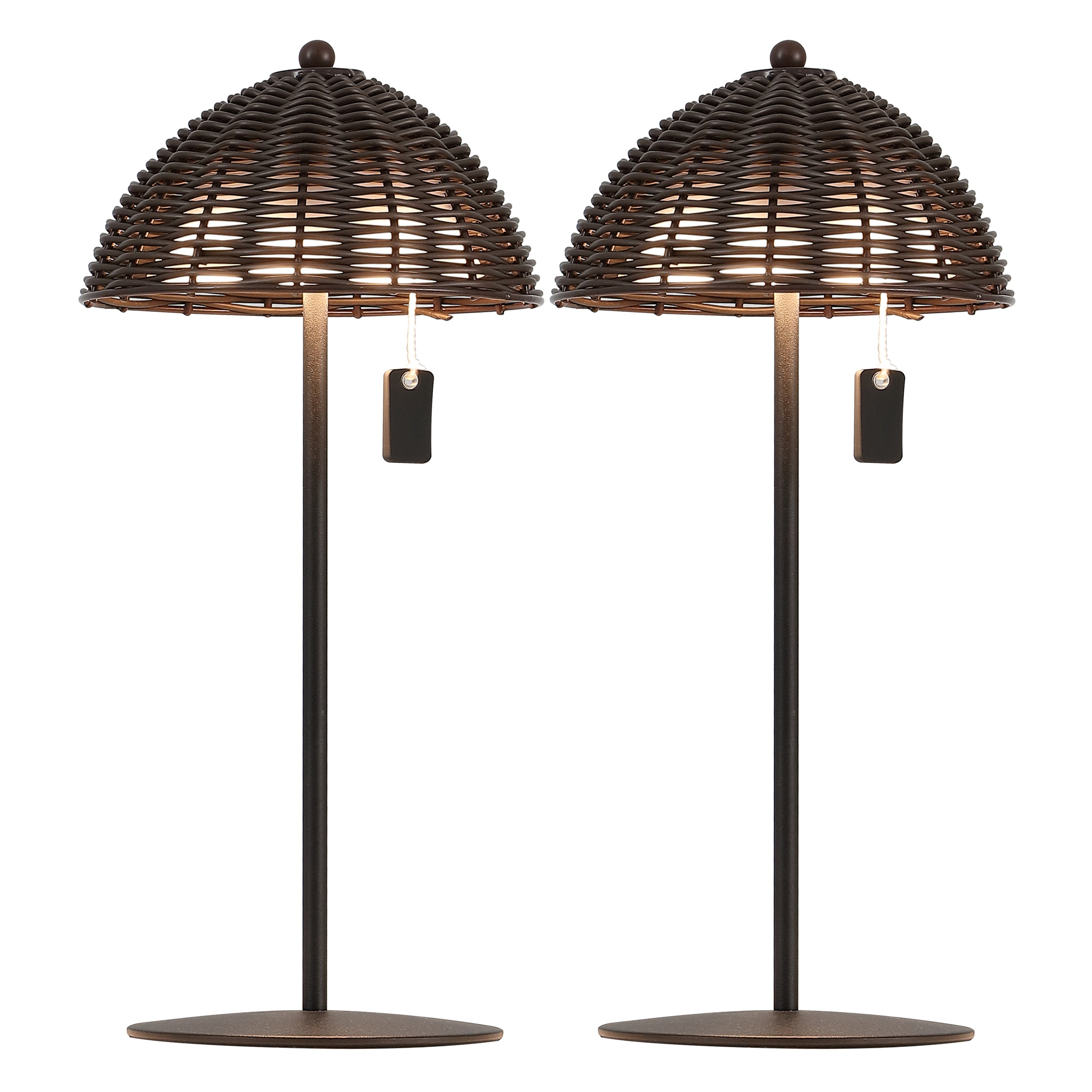Tilly 12.75" Modern Coastal Indoor/Outdoor Wicker Shade Rechargeable/Cordless Dimmable Integrated LED Table Lamp, Set of 2