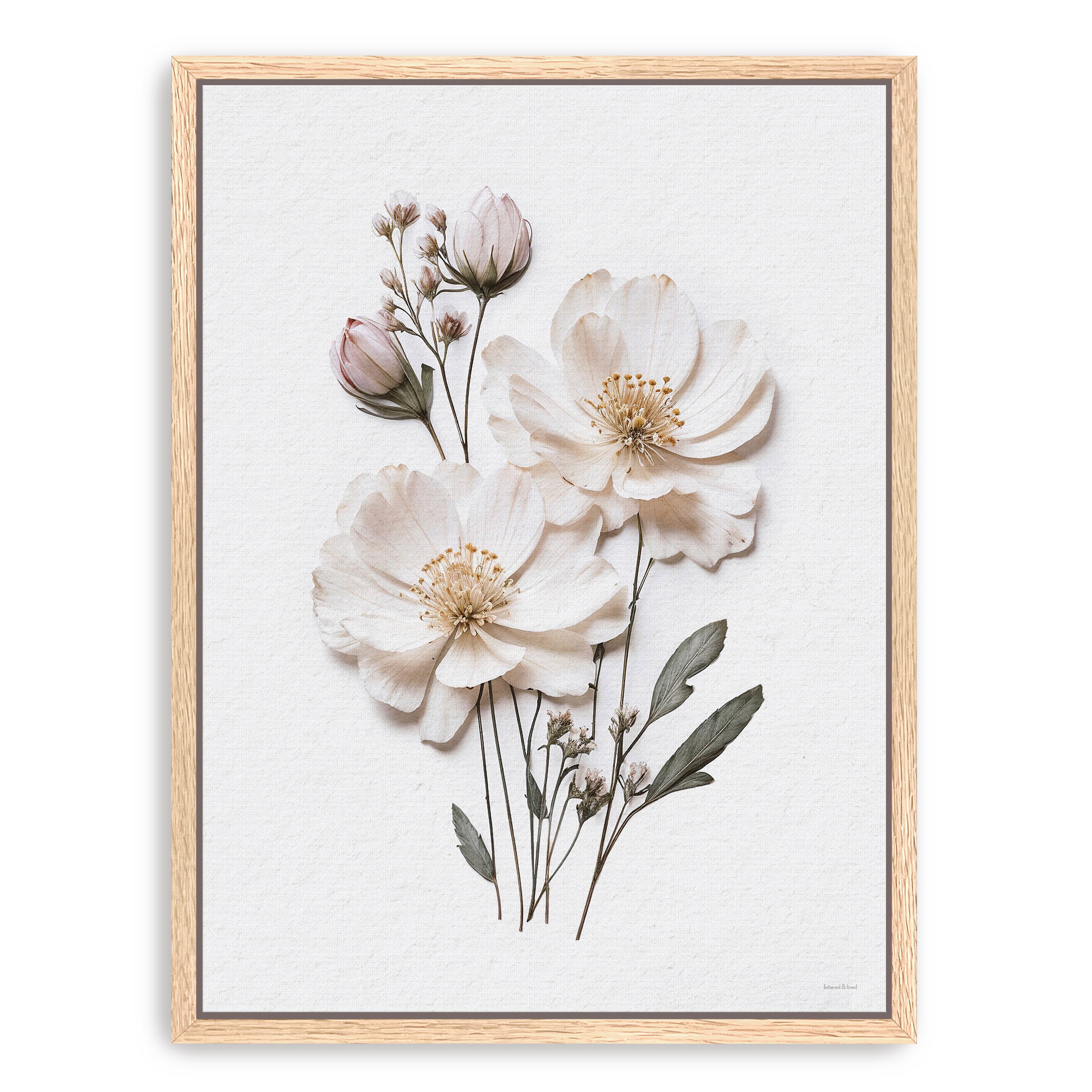 Pressed Flowers IV Canvas Giclee