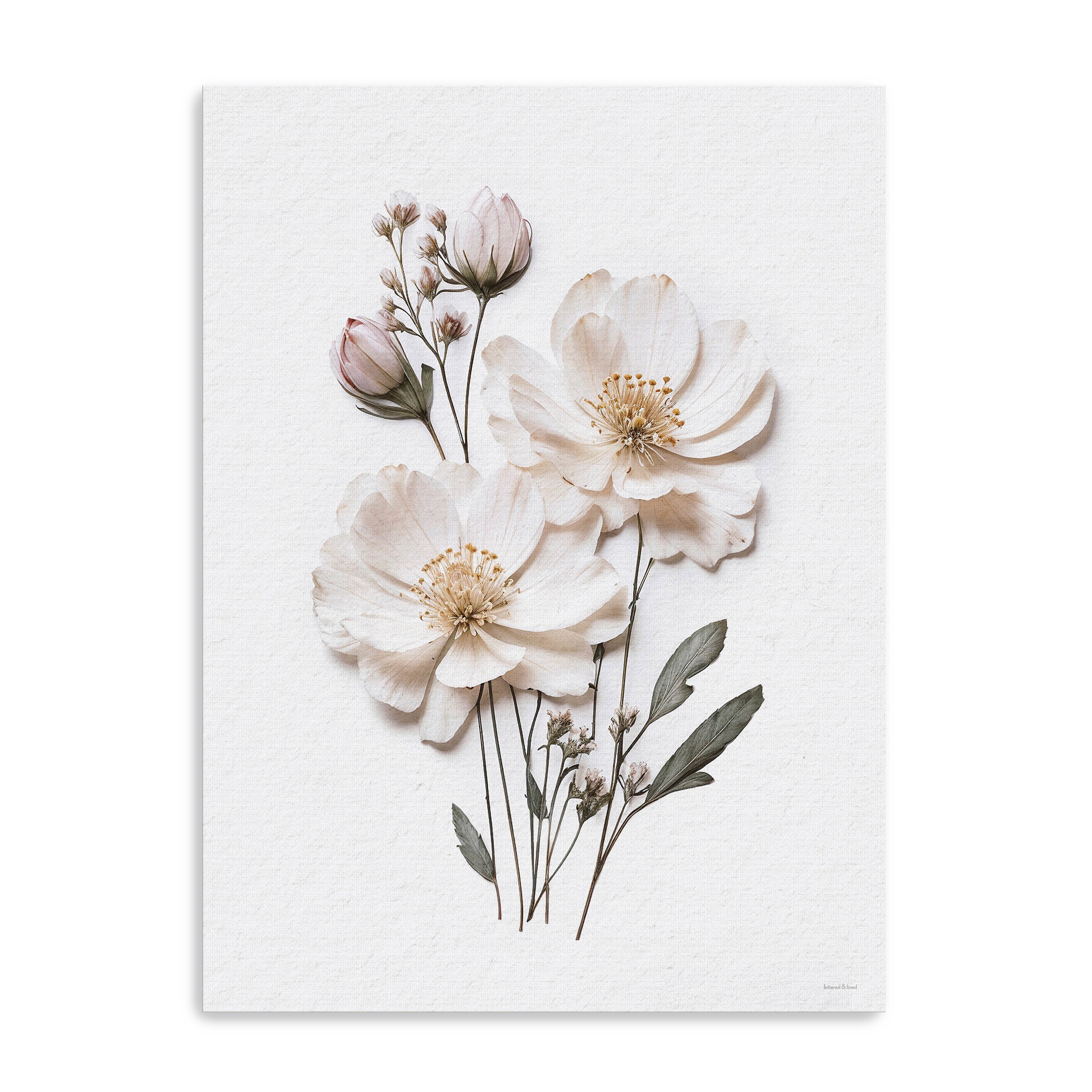Pressed Flowers IV Canvas Giclee